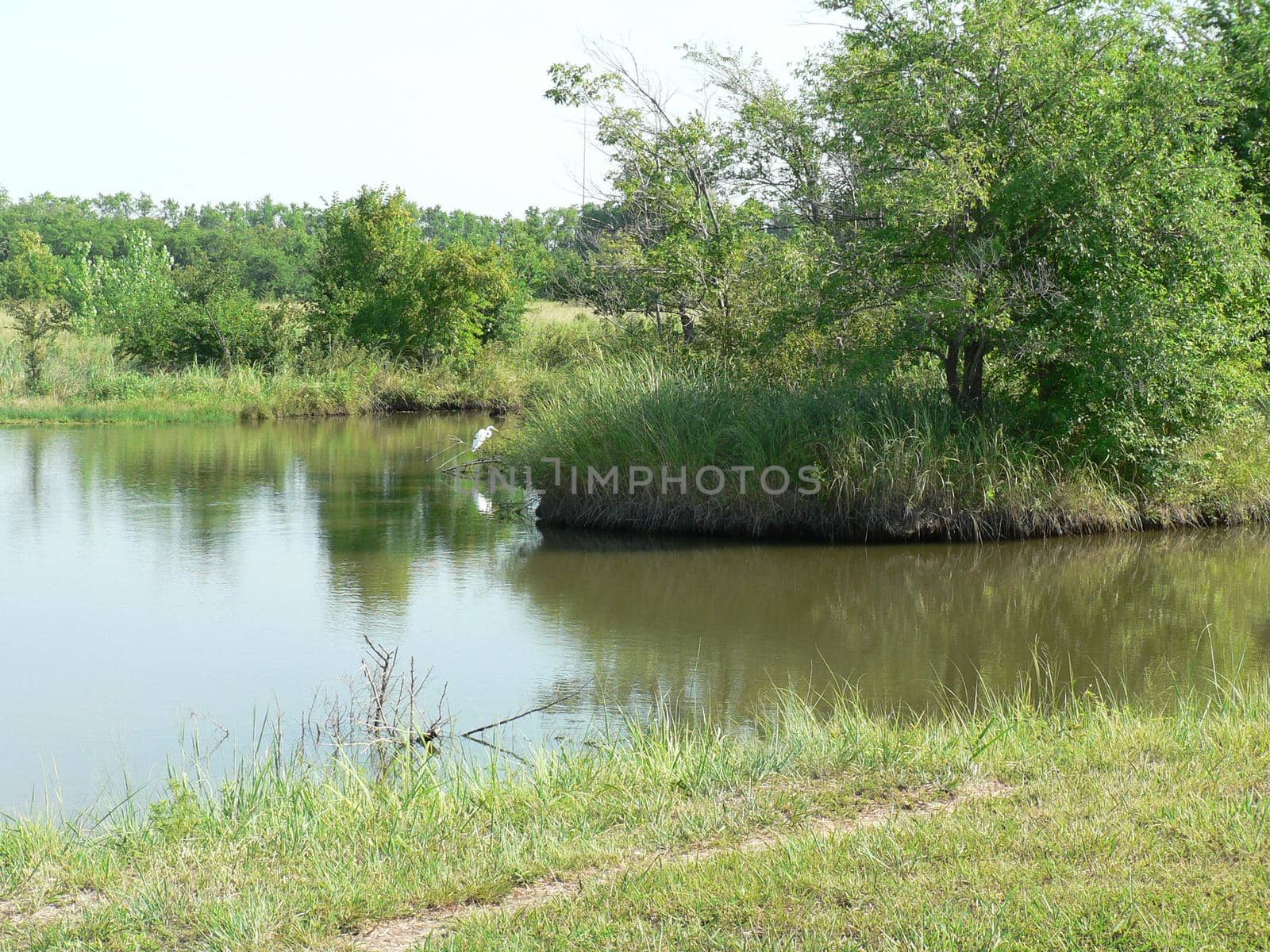 Scenes from Chisholm Creek Park in Wichita, Kansas