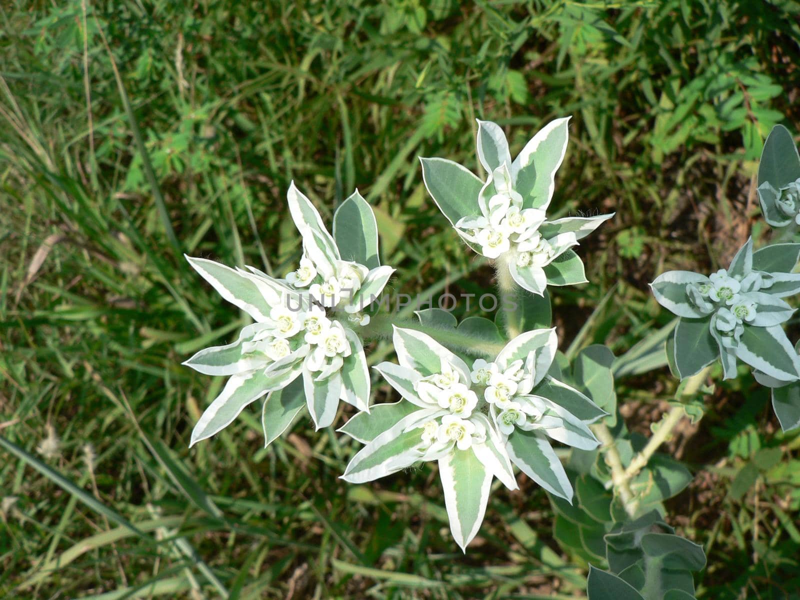 Scenes from Chisholm Creek Park in Wichita, Kansas