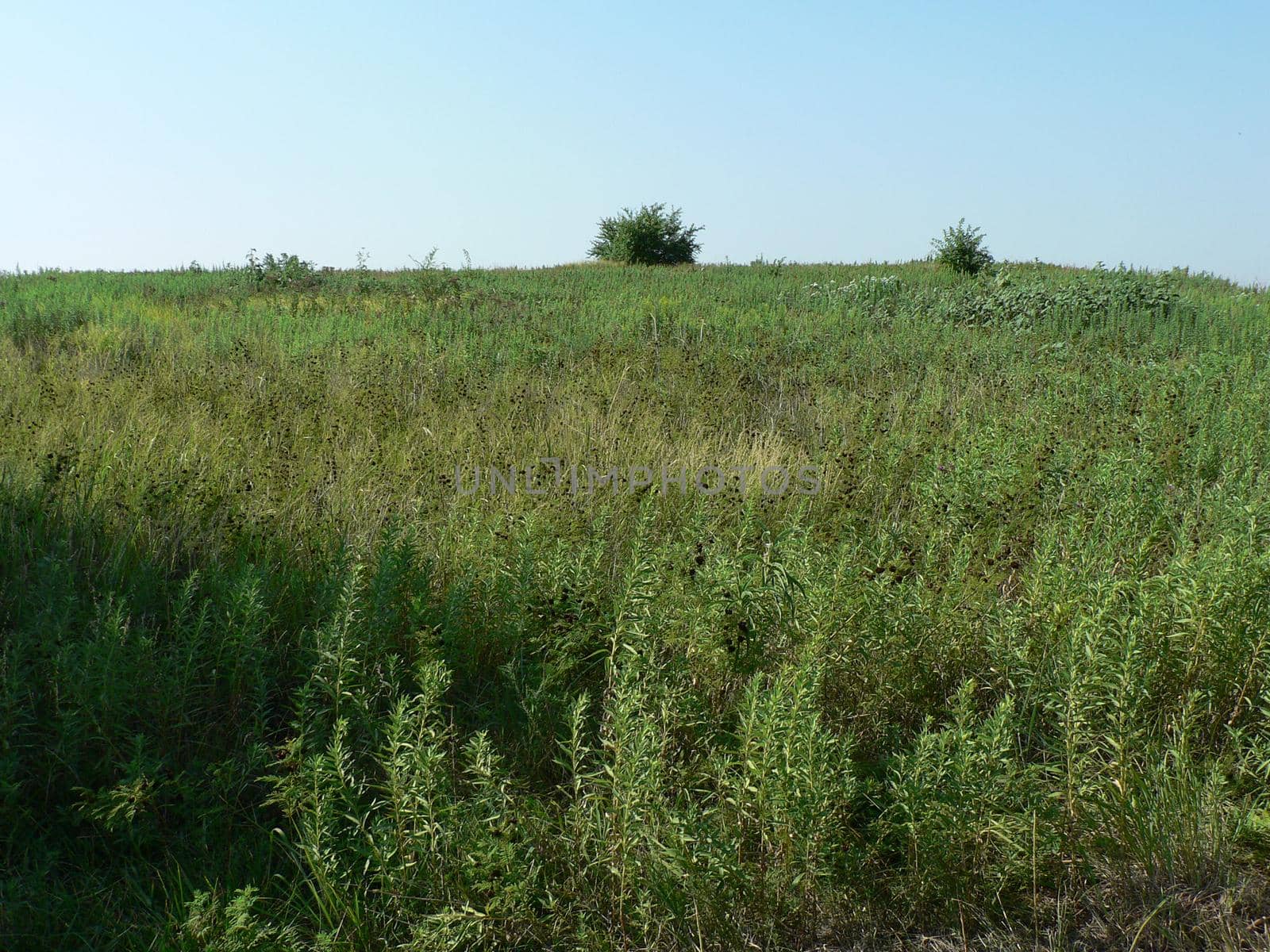 Scenes from Chisholm Creek Park in Wichita, Kansas
