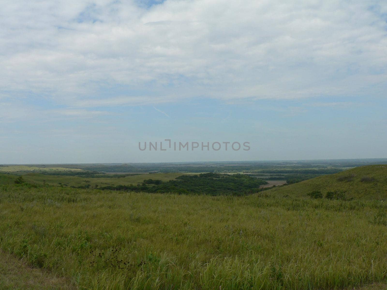View of the Konza Prairie near Manhattan, Kansas