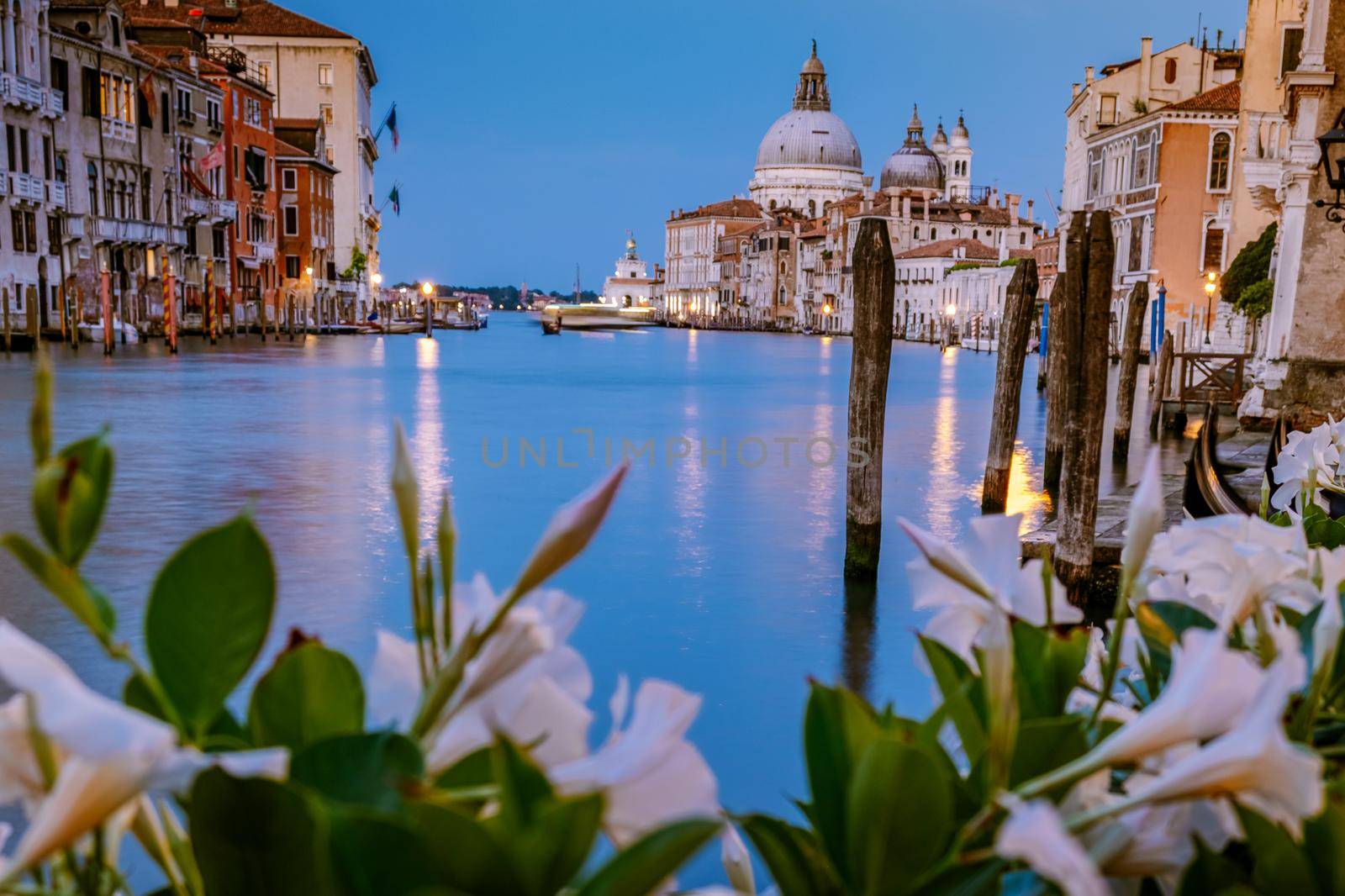 Beautiful venetian street in summer day, Italy Venice by fokkebok