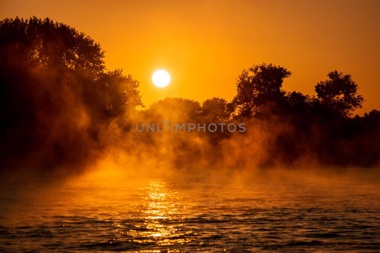 Cologne Germany rhine river sunrise with fog and mist in the morning by fokkebok