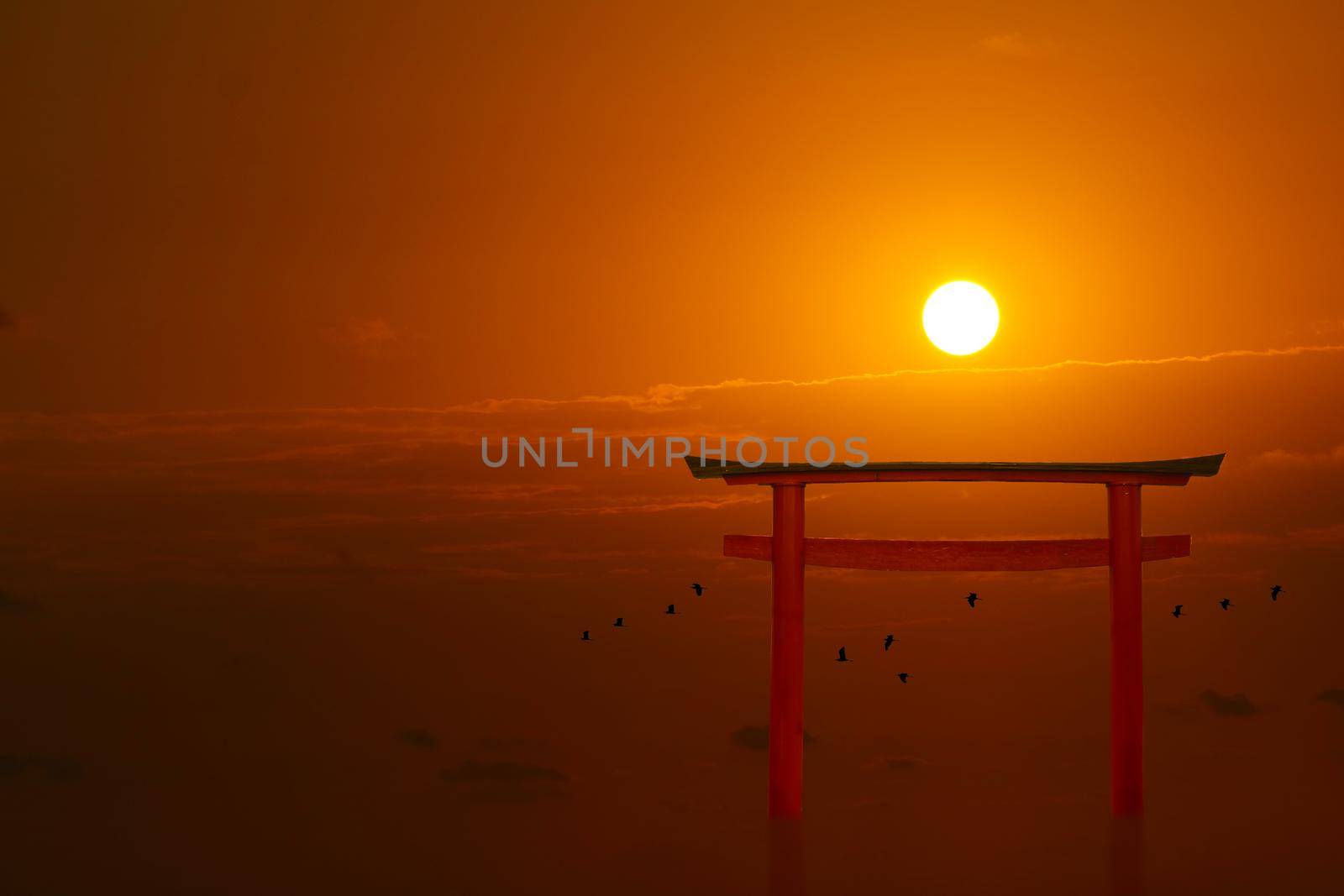 torii sunset orange red cloud on sky and birds flying on the sea