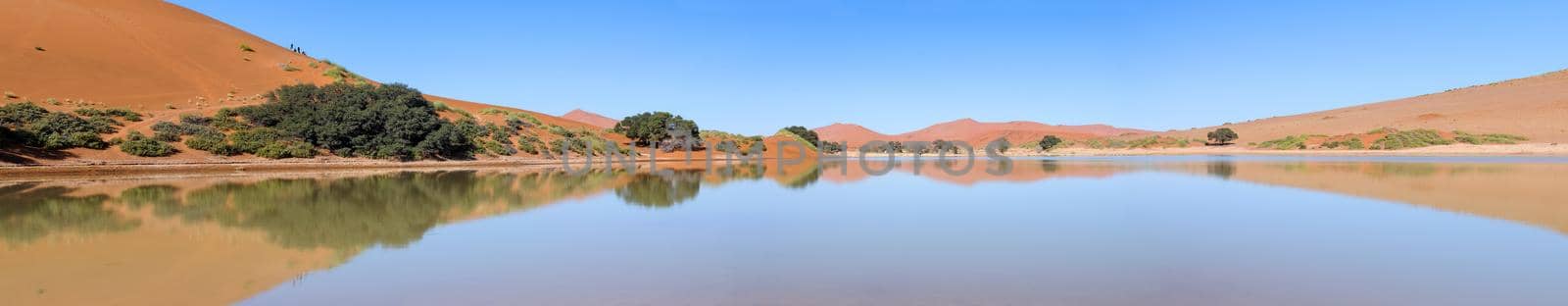 Panorama of Sossusvlei in Namibia full of water by dpreezg