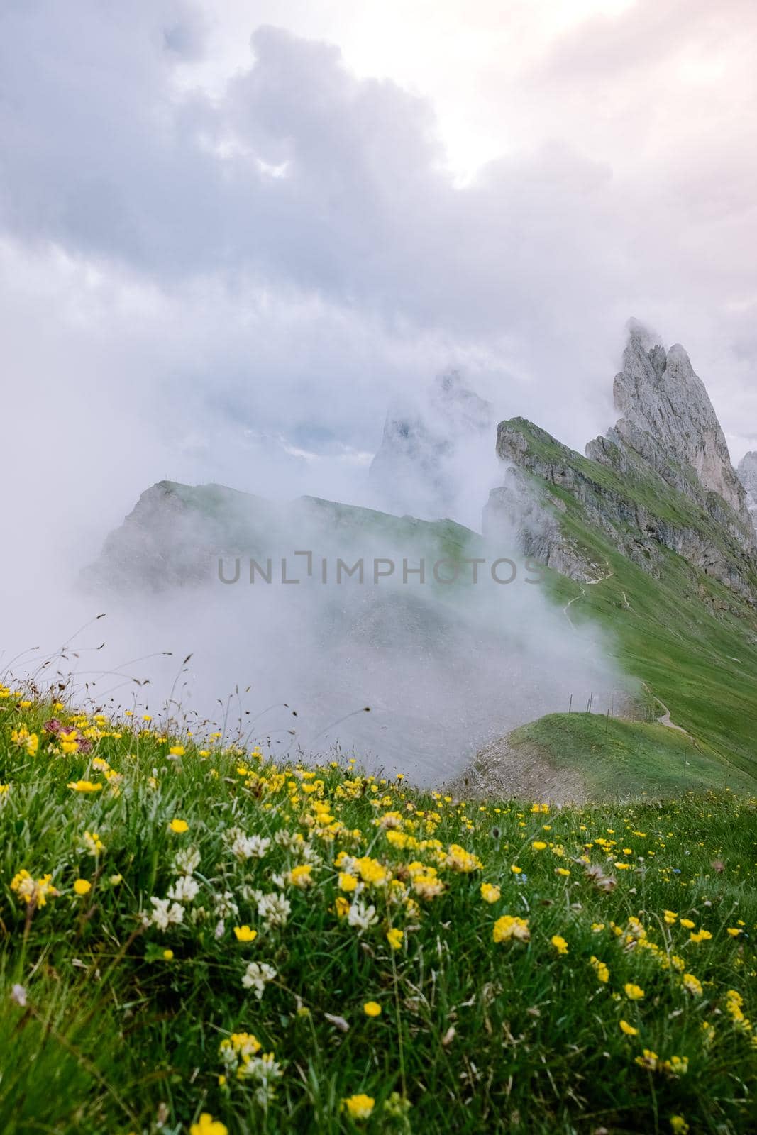  hiking in the Italien Dolomites, Amazing view on Seceda peak. Trentino Alto Adige, Dolomites Alps, South Tyrol, Italy, Europe. Odle mountain range, Val Gardena. Majestic Furchetta peak in morning sunlight. Italy