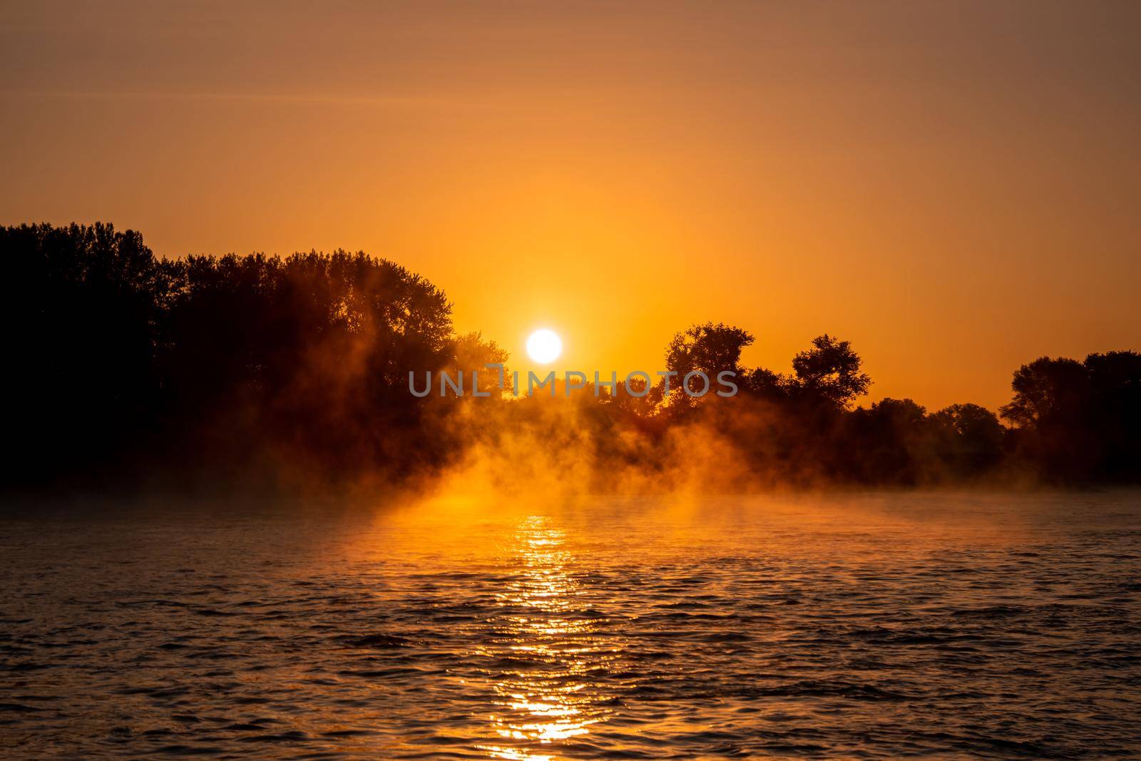 Cologne Germany rhine river sunrise with fog and mist in the morning. High quality photo