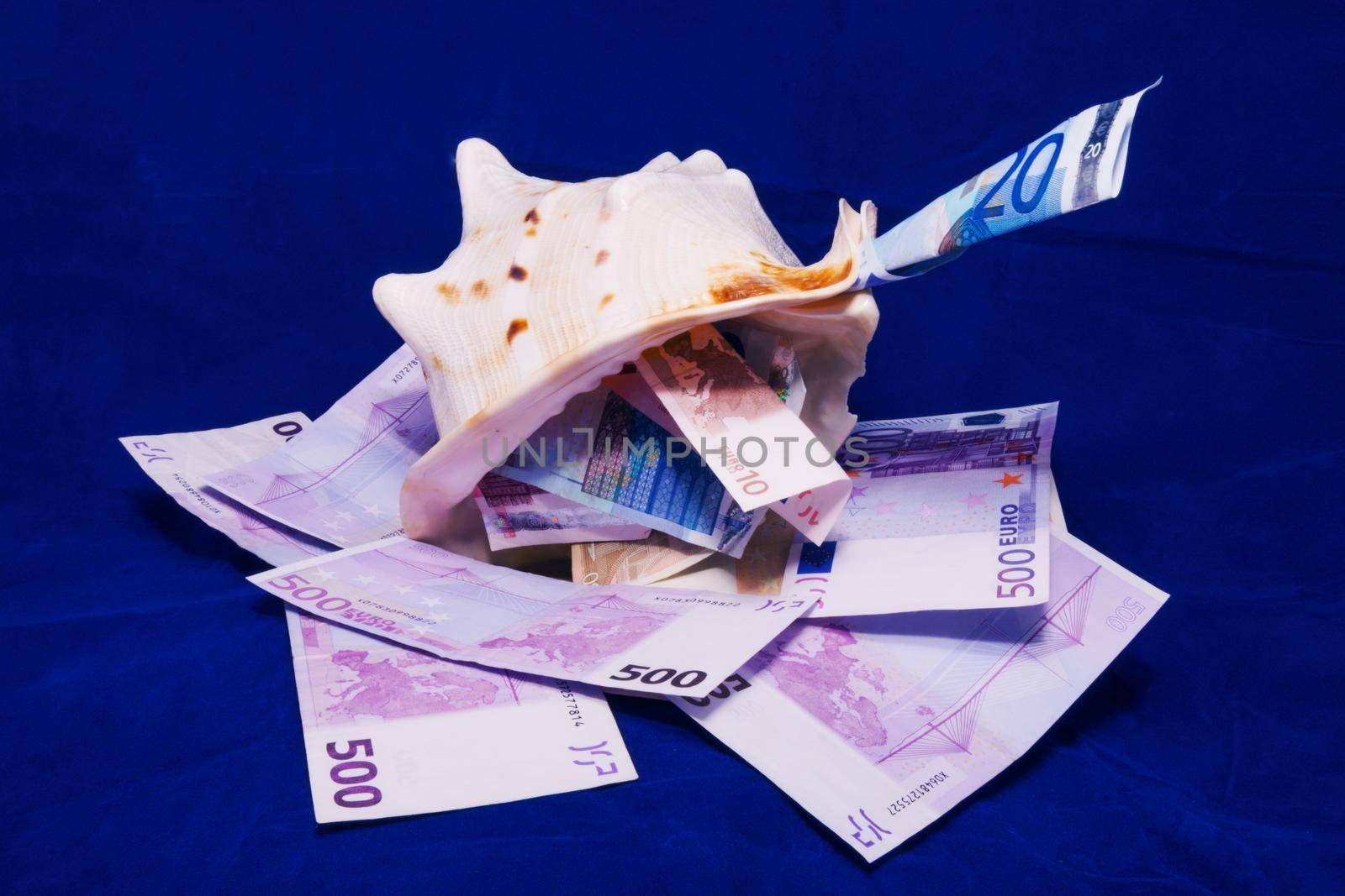 on a blue background in the marine shell are Euro banknotes of different denominations by client111