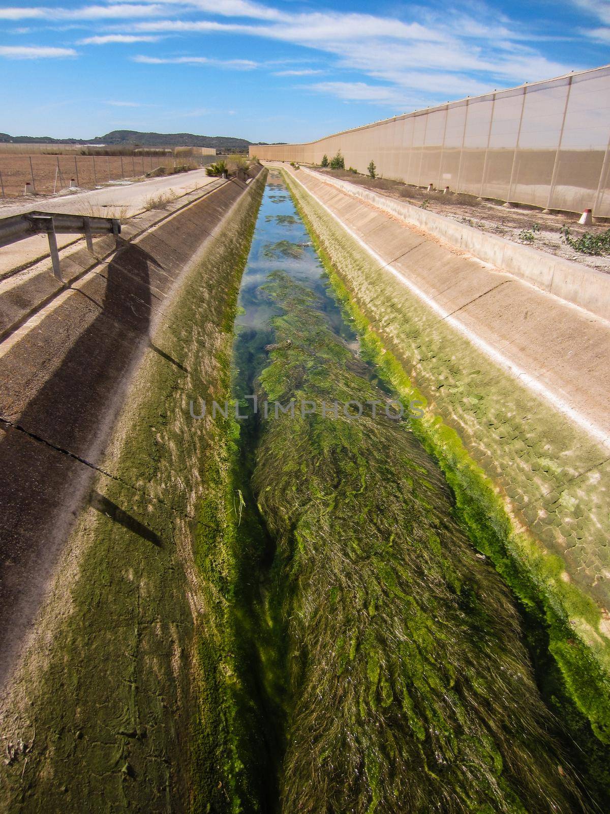 aqueduct in spain blocked with green weed