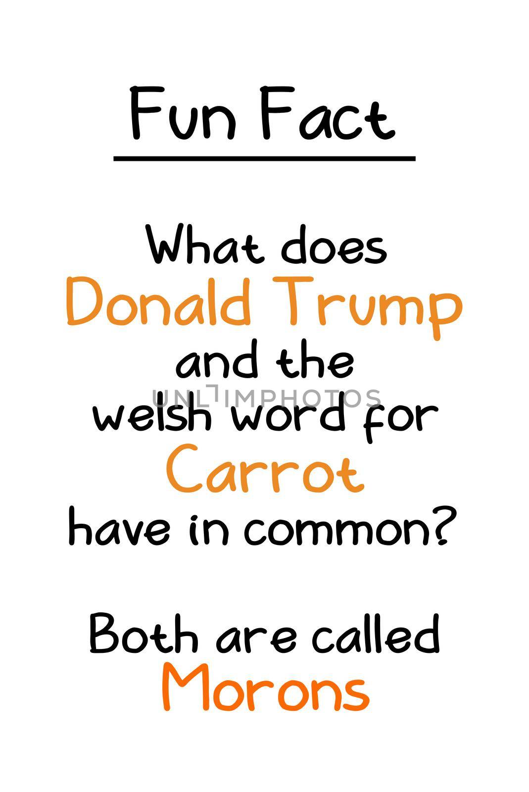 Donald Trump and Welsh Carrot by Bigalbaloo