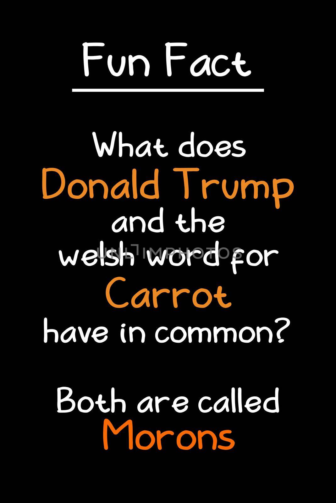 Donald Trump and Welsh Carrot