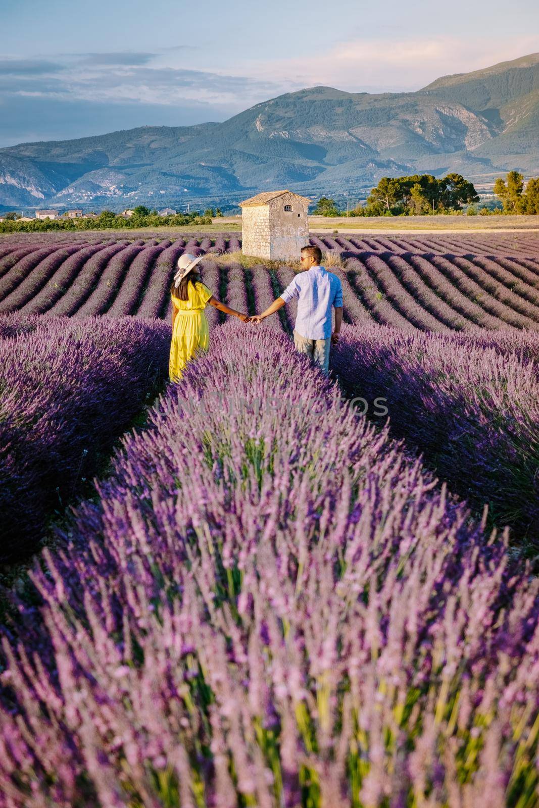 Couple men and woman on vacation at the provence lavender fields, Provence, Lavender field France, Valensole Plateau, colorful field of Lavender Valensole Plateau, Provence, Southern France. Lavender field by fokkebok