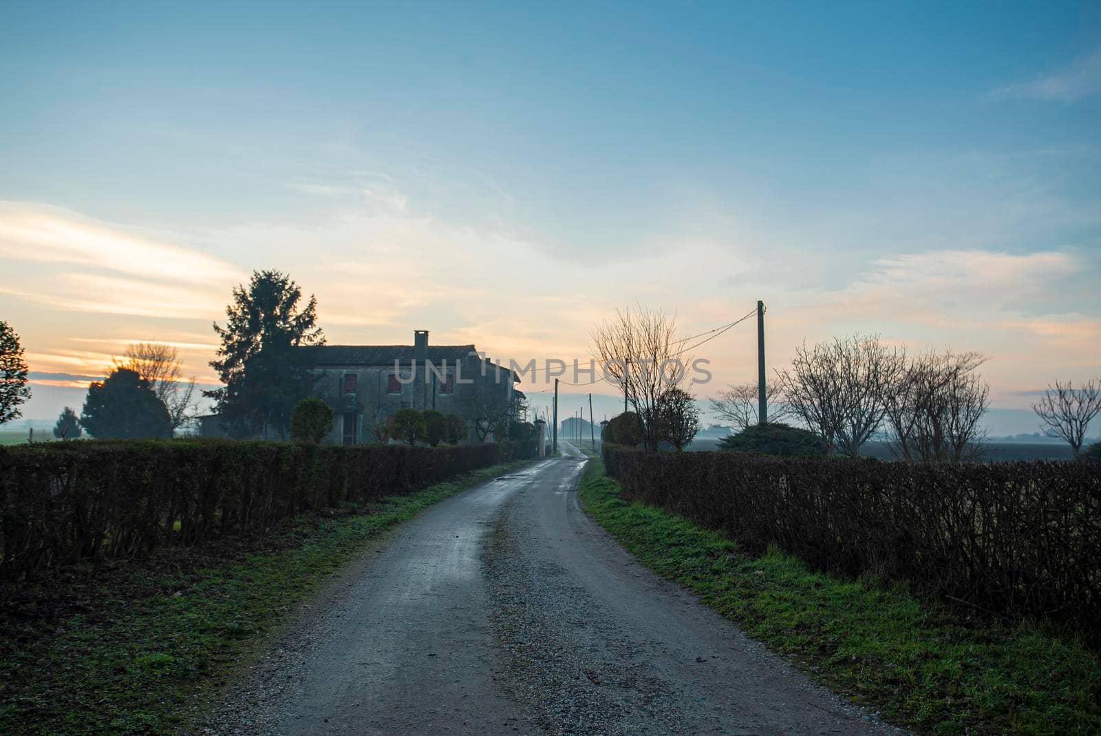 View of a generic Dirty road in countryside landscape in winter season