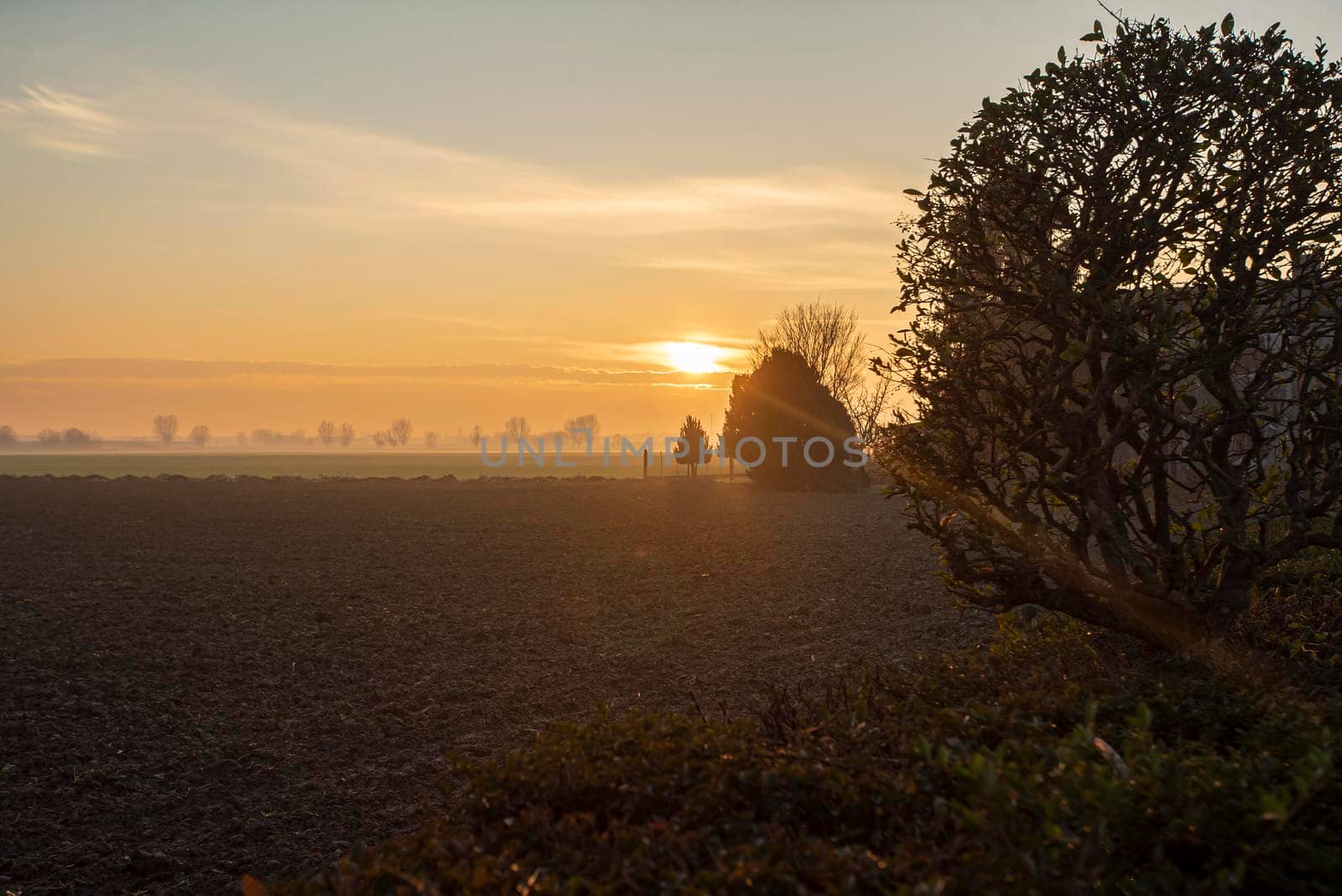 Beautiful Sunset in countryside in winter in north east of Italy