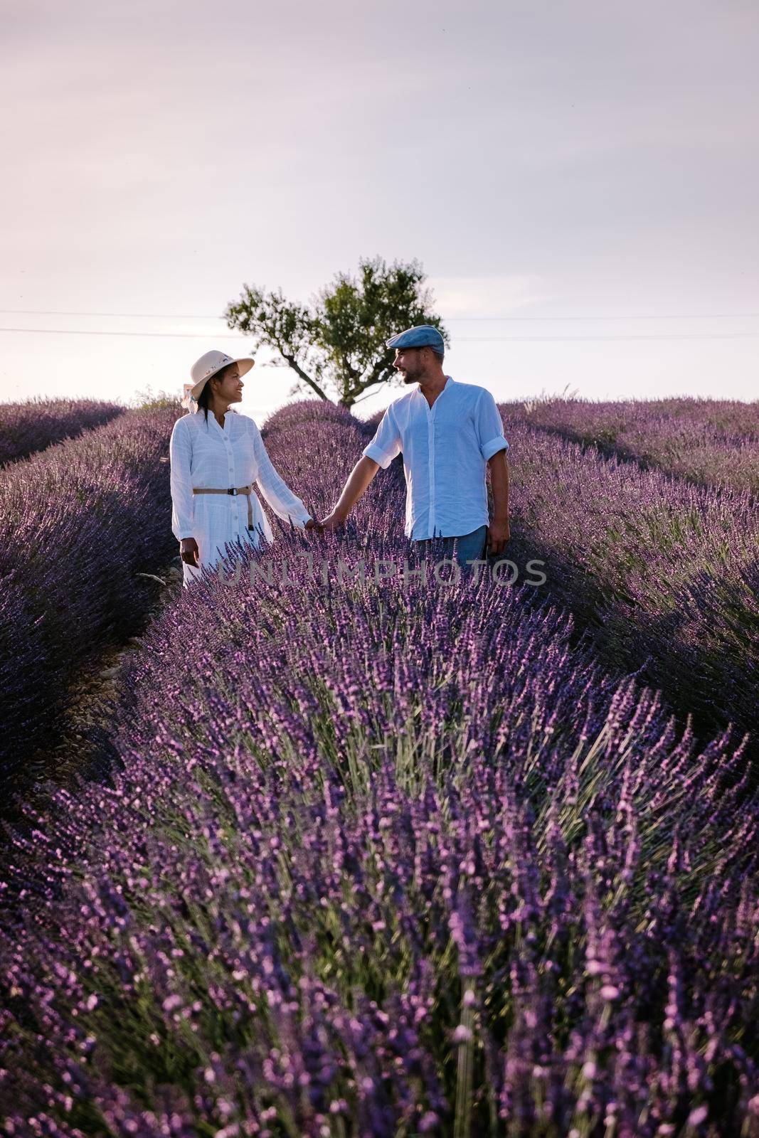 Couple men and woman on vacation at the provence lavender fields, Provence, Lavender field France, Valensole Plateau, colorful field of Lavender Valensole Plateau, Provence, Southern France. Lavender field by fokkebok