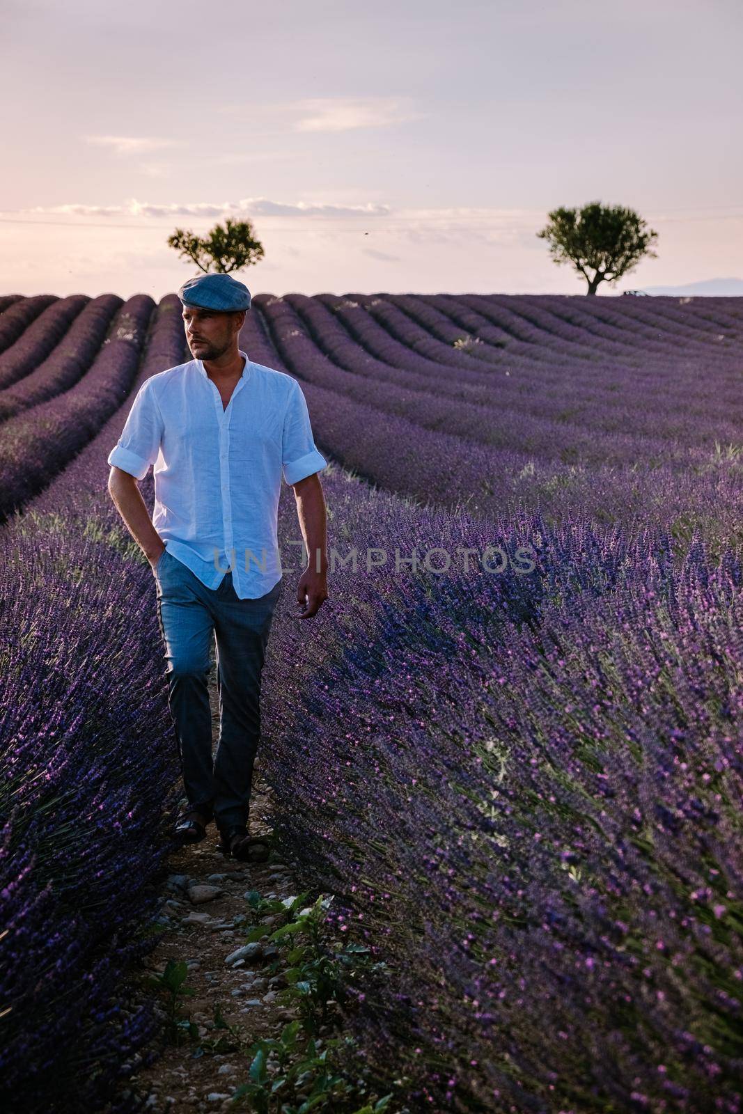 Provence, Lavender field France, Valensole Plateau, colorful field of Lavender Valensole Plateau, Provence, Southern France. Lavender field. Europe. Couple men and woman on vacation at the provence lavender fields,