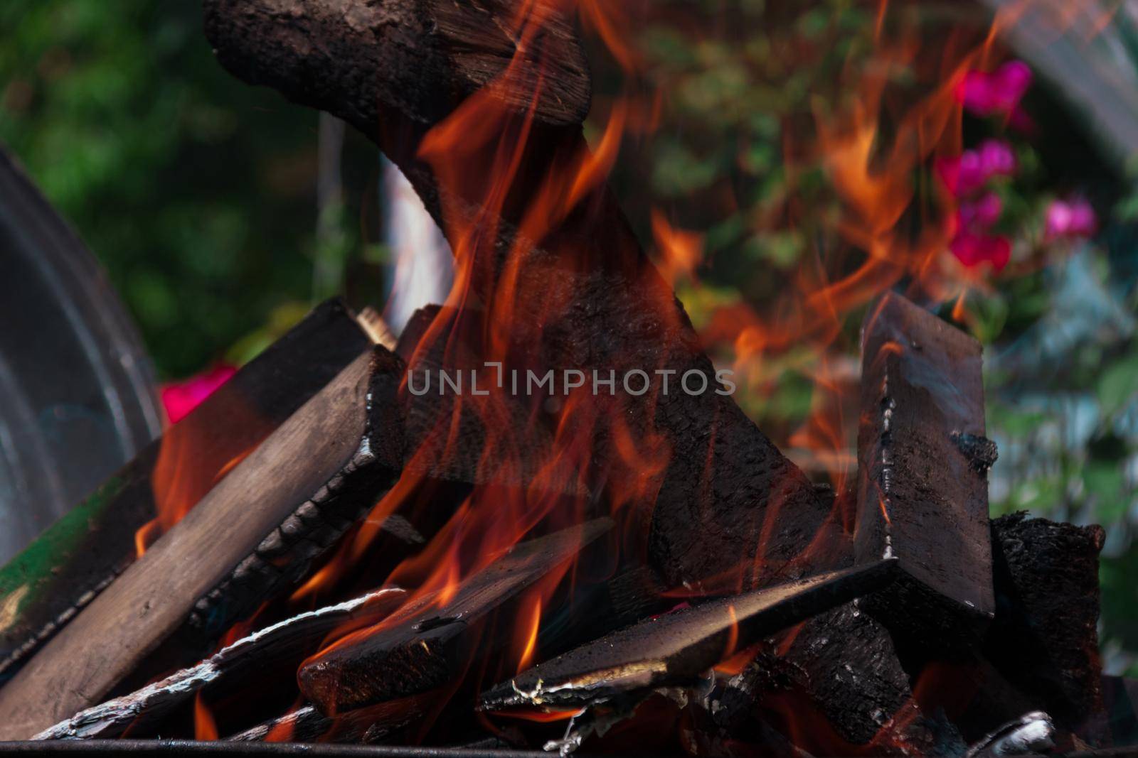 the fire quickly covers the logs on the fire by client111