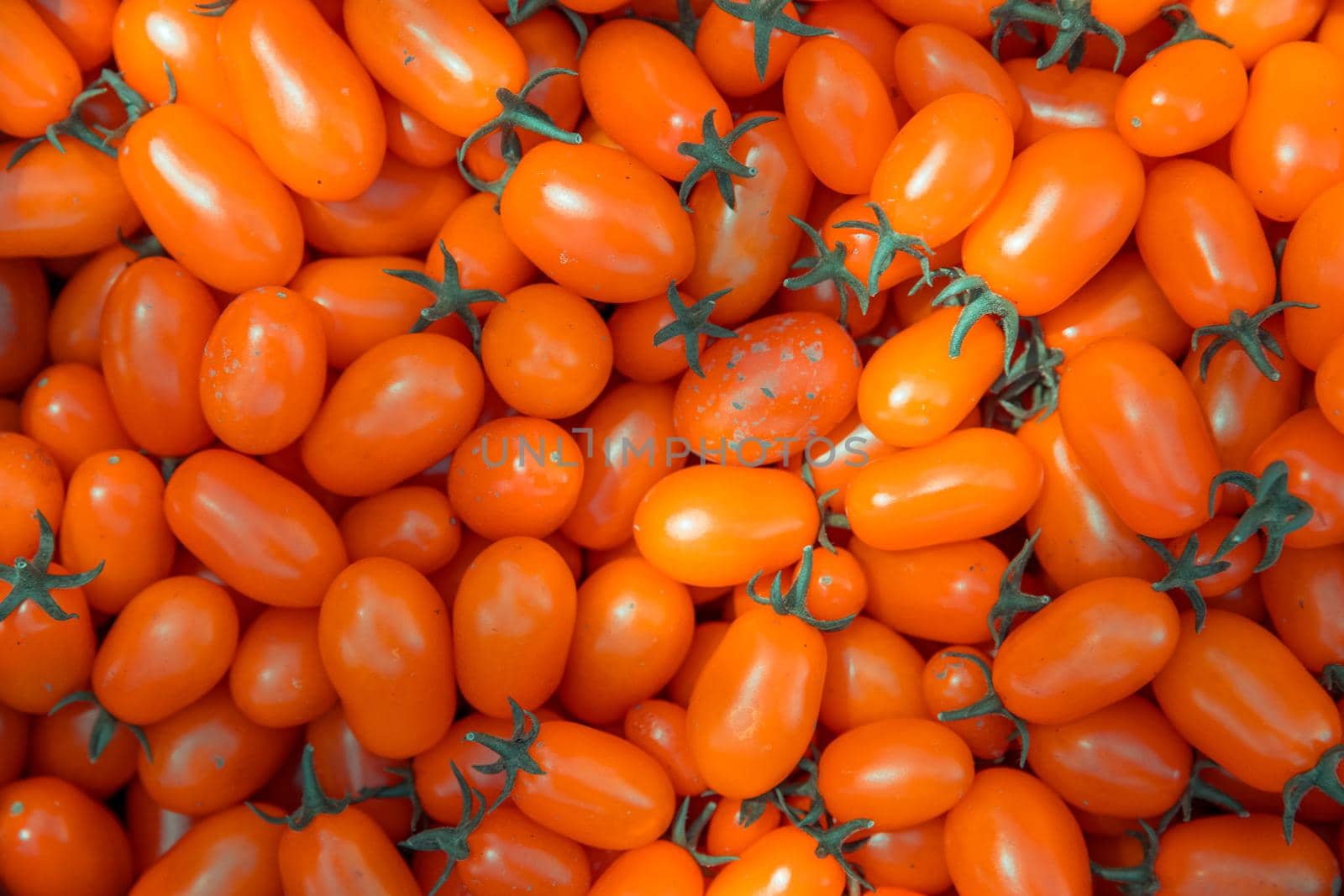 background from red ripe tomatoes grown without chemistry.