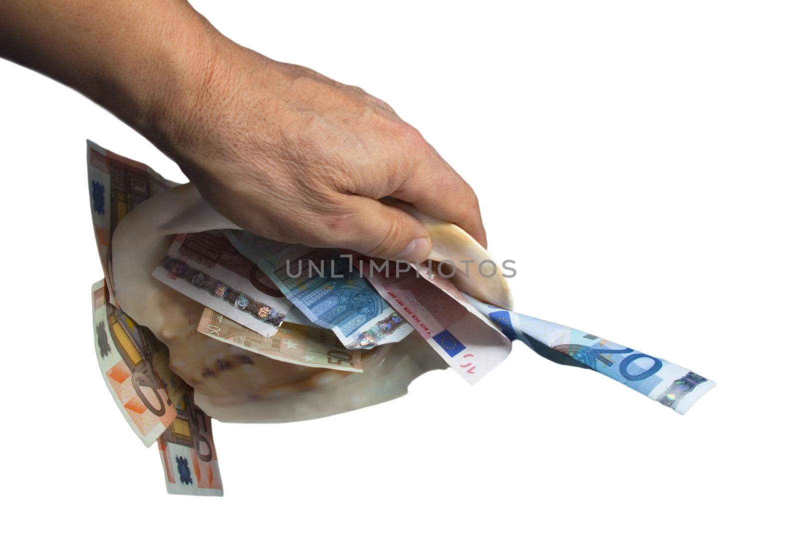 a hand is holding a sea shell with money white background. by client111