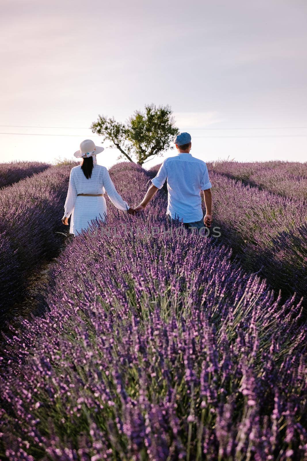 Provence, Lavender field France, Valensole Plateau, colorful field of Lavender Valensole Plateau, Provence, Southern France. Lavender field. Europe. Couple men and woman on vacation at the provence lavender fields,