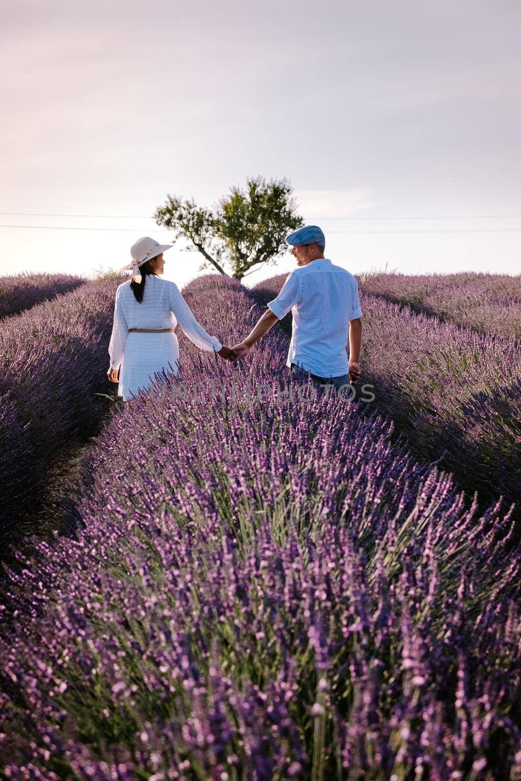 Couple men and woman on vacation at the provence lavender fields, Provence, Lavender field France, Valensole Plateau, colorful field of Lavender Valensole Plateau, Provence, Southern France. Lavender field by fokkebok