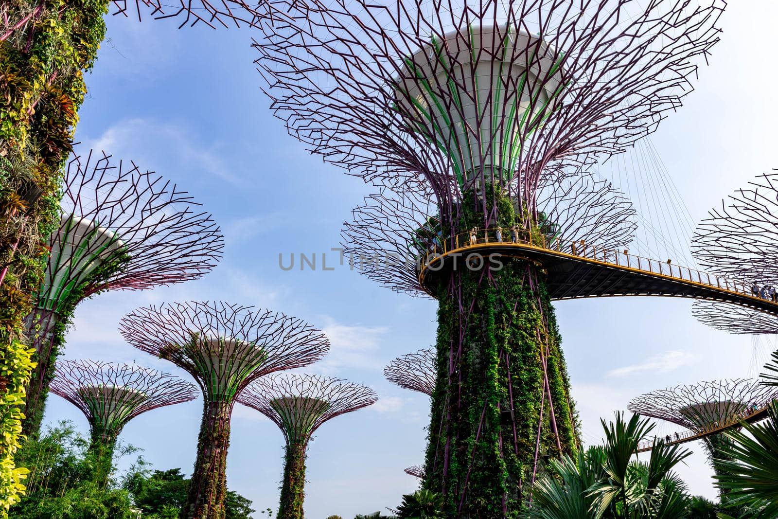 supertree Singapore gardens by the bay, Singapore, Oct 12, 2018