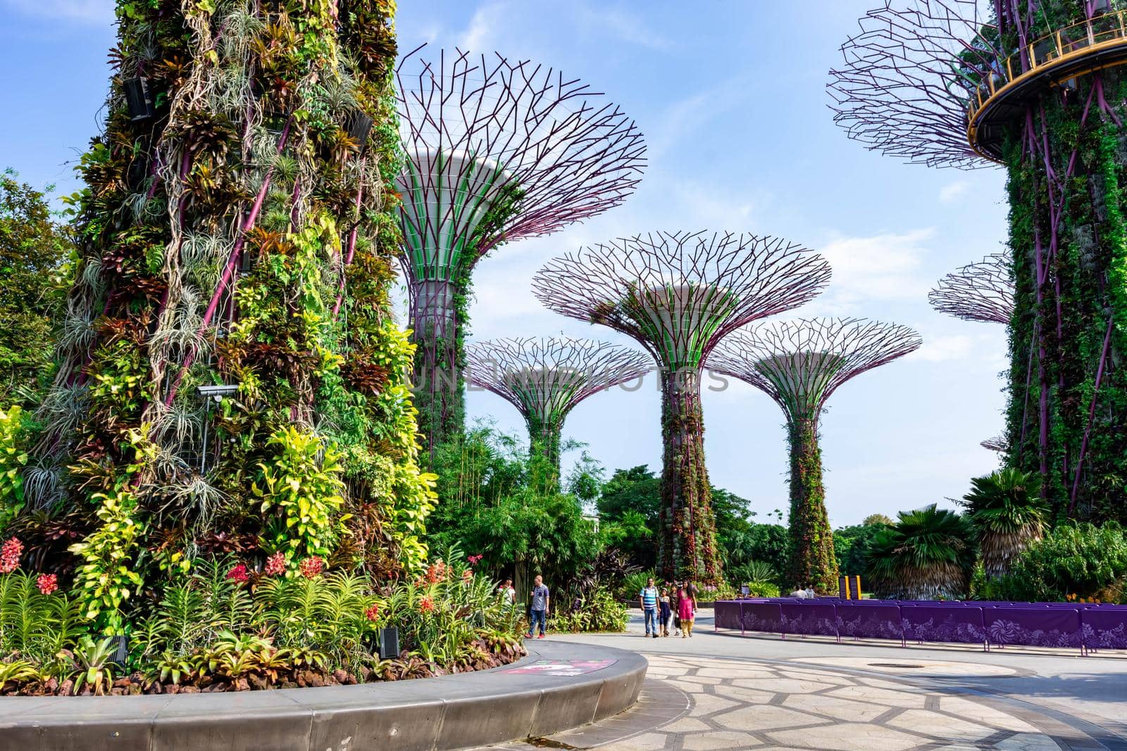 supertree Singapore gardens by the bay, Singapore, Oct 12, 2018