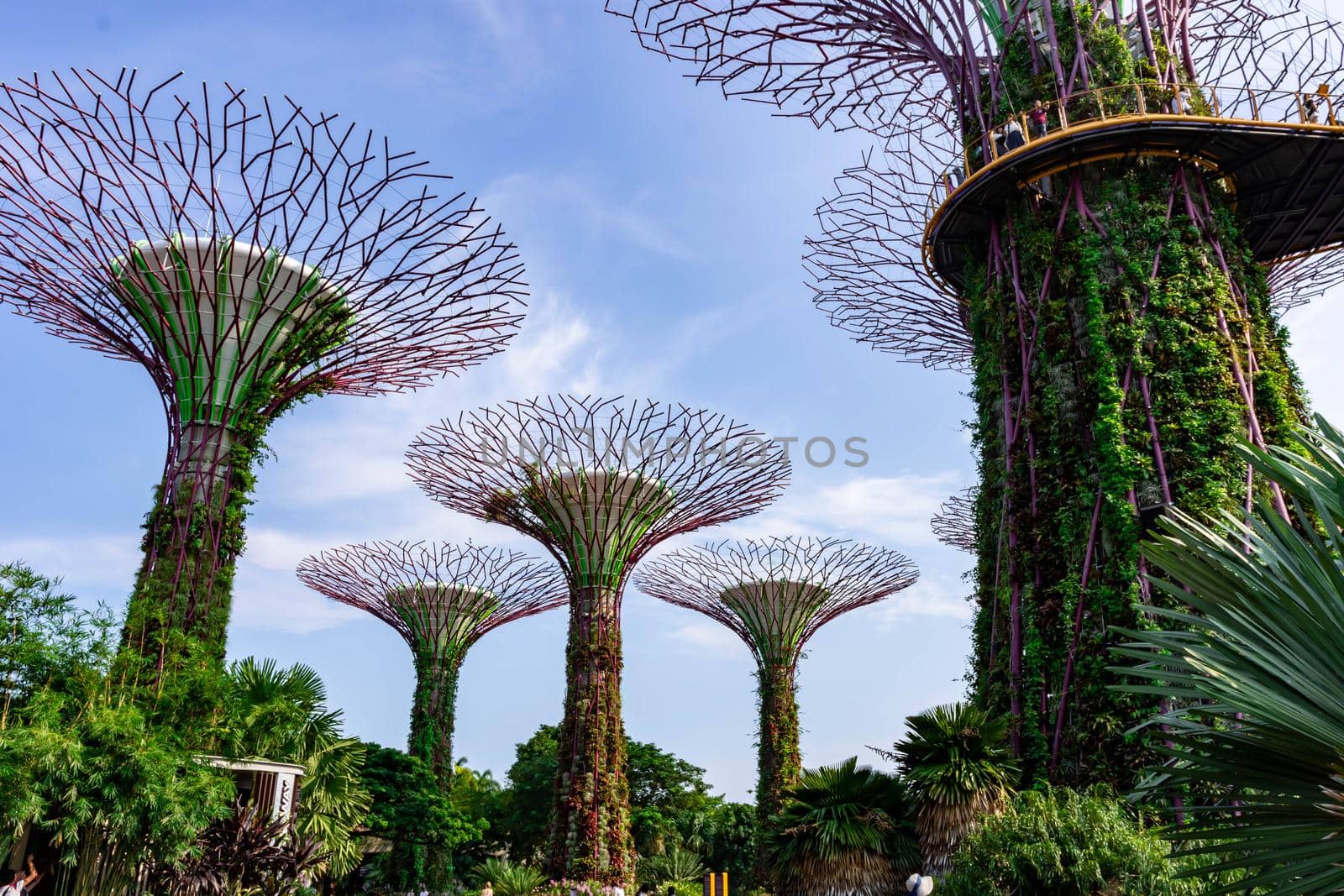 supertree Singapore gardens by the bay, Singapore, Oct 12, 2018