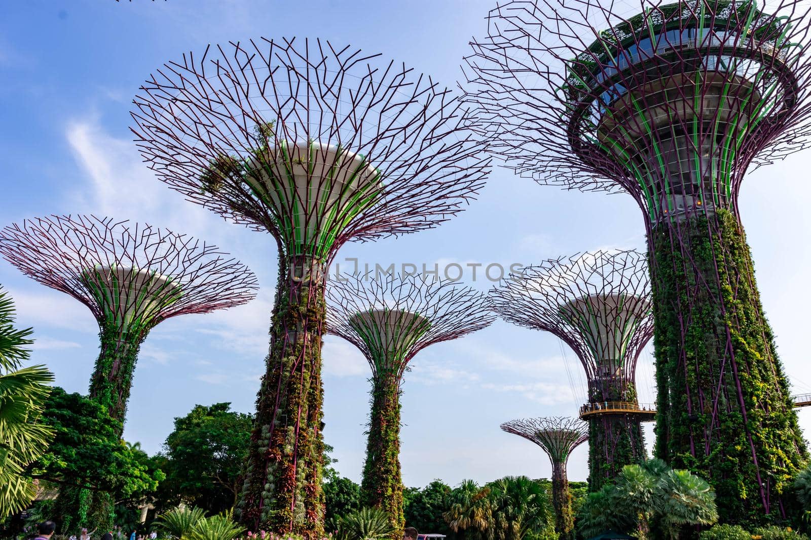 supertree Singapore gardens by the bay, Singapore, Oct 12, 2018