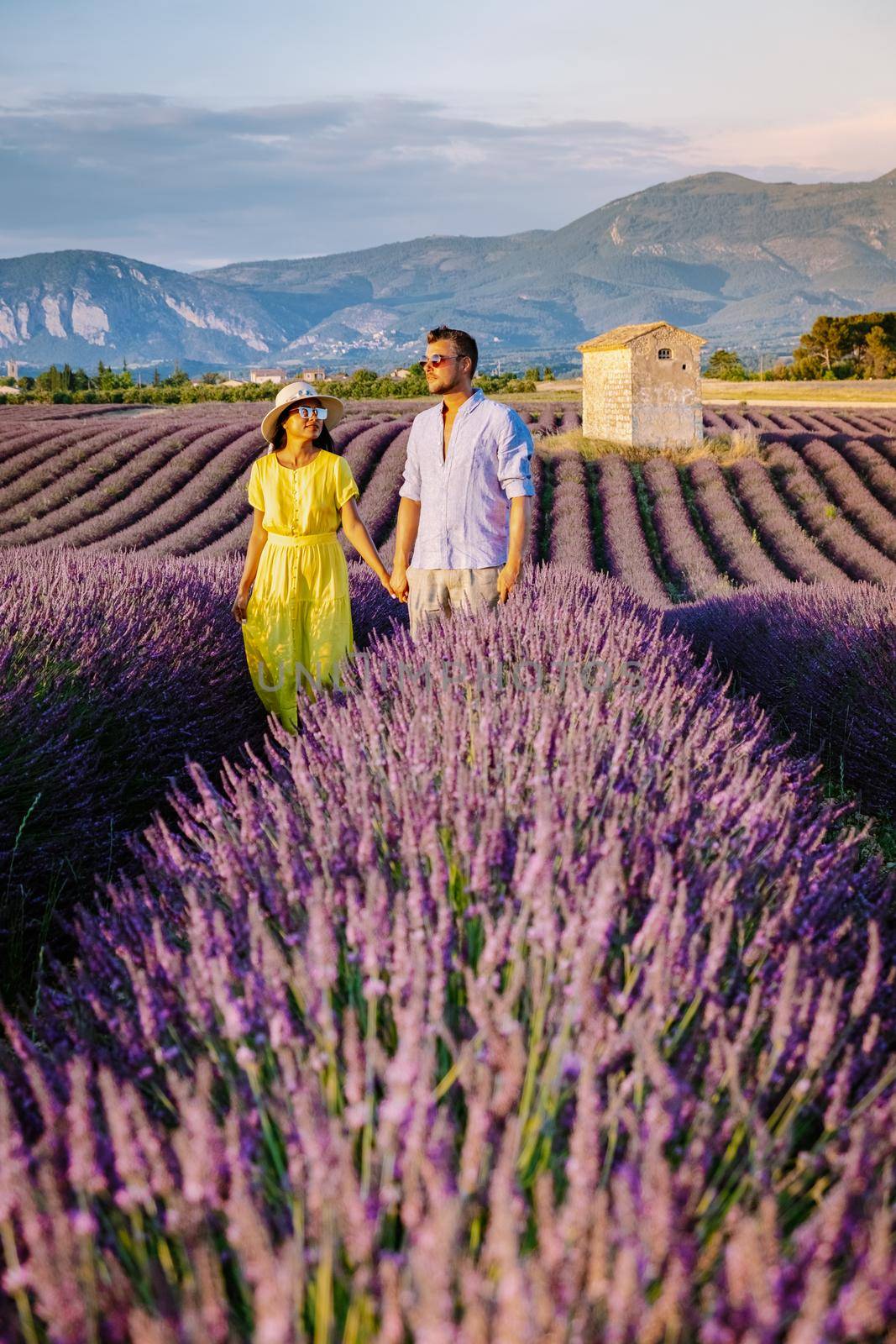 Provence, Lavender field France, Valensole Plateau, colorful field of Lavender Valensole Plateau, Provence, Southern France. Lavender field. Europe. Couple men and woman on vacation at the provence lavender fields,