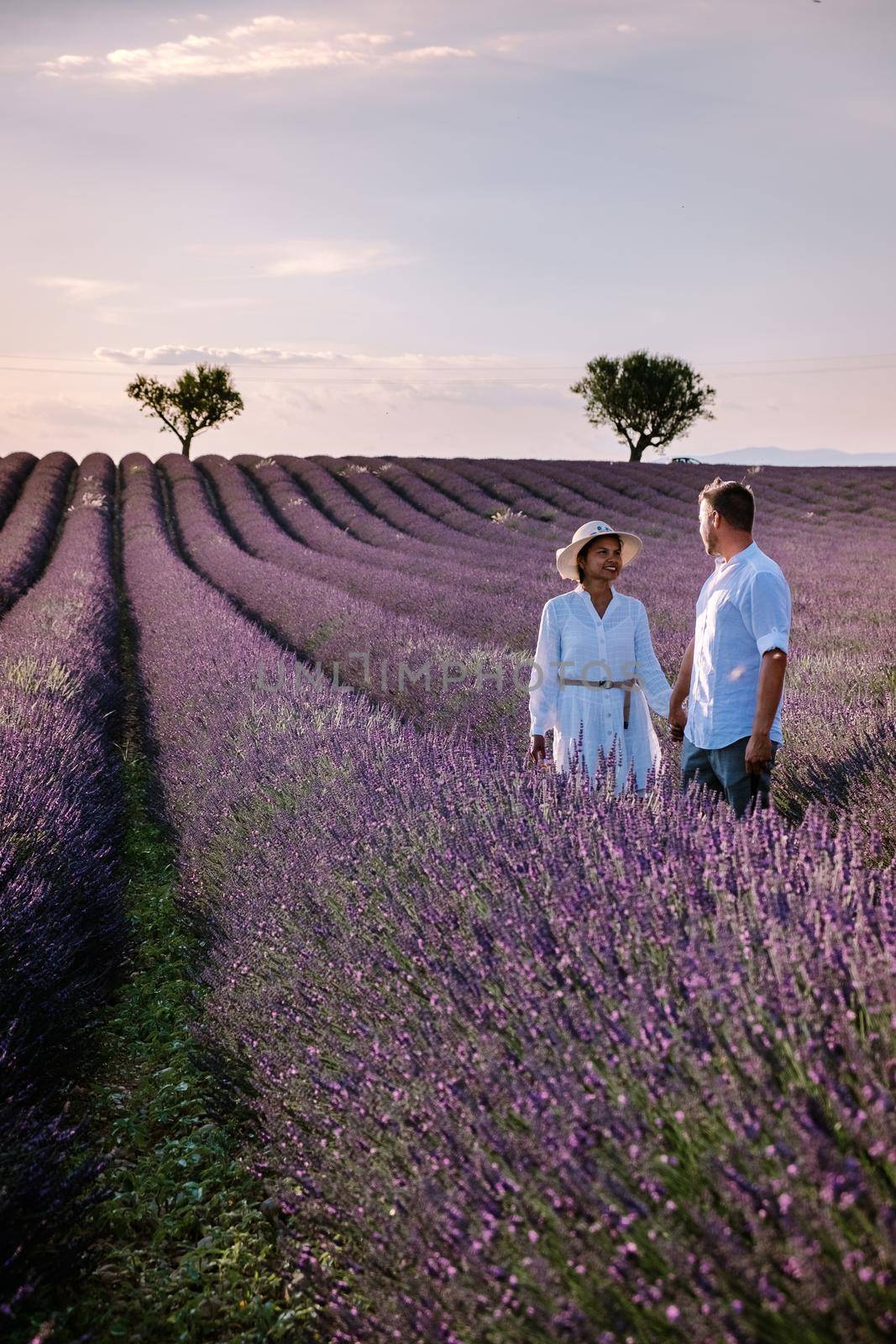 Provence, Lavender field France, Valensole Plateau, colorful field of Lavender Valensole Plateau, Provence, Southern France. Lavender field. Europe. Couple men and woman on vacation at the provence lavender fields,