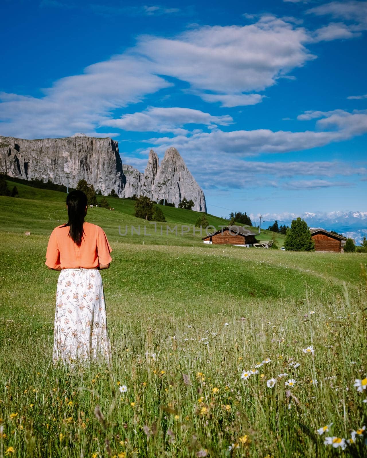 woman on vacation in the Dolomites Italy,Alpe di Siusi - Seiser Alm with Sassolungo - Langkofel mountain group in background at sunset. Yellow spring flowers and wooden chalets in Dolomites, Trentino Alto Adige, South Tyrol, Italy, Europe by fokkebok
