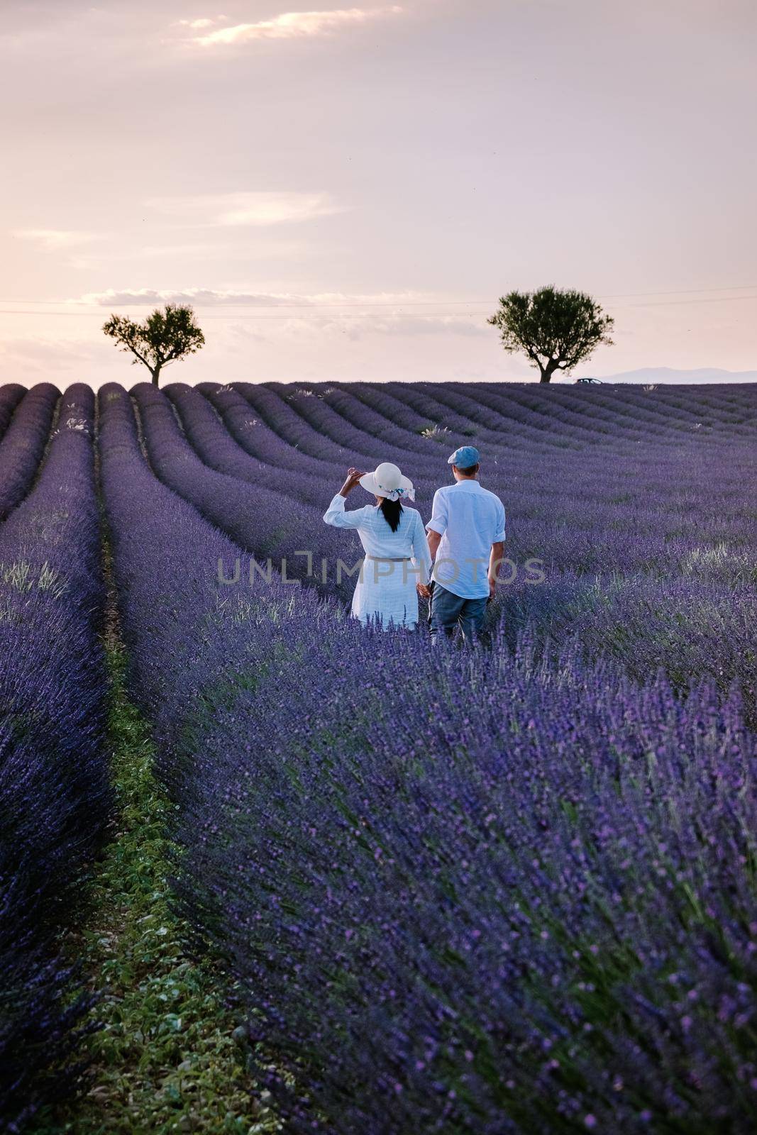 Couple men and woman on vacation at the provence lavender fields, Provence, Lavender field France, Valensole Plateau, colorful field of Lavender Valensole Plateau, Provence, Southern France. Lavender field by fokkebok