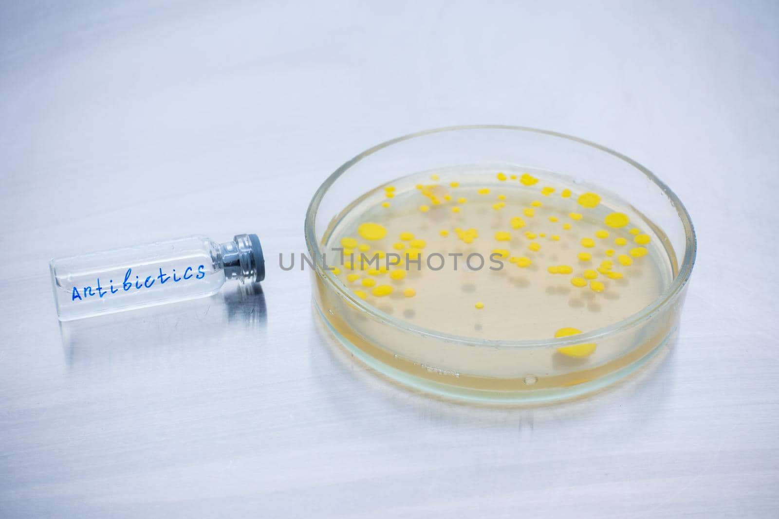 Near a petri dish with bacteria lies closed bottle with antibiotics. Antibiotics to suppress the development of bacteria. Universal remedy for bacteria.