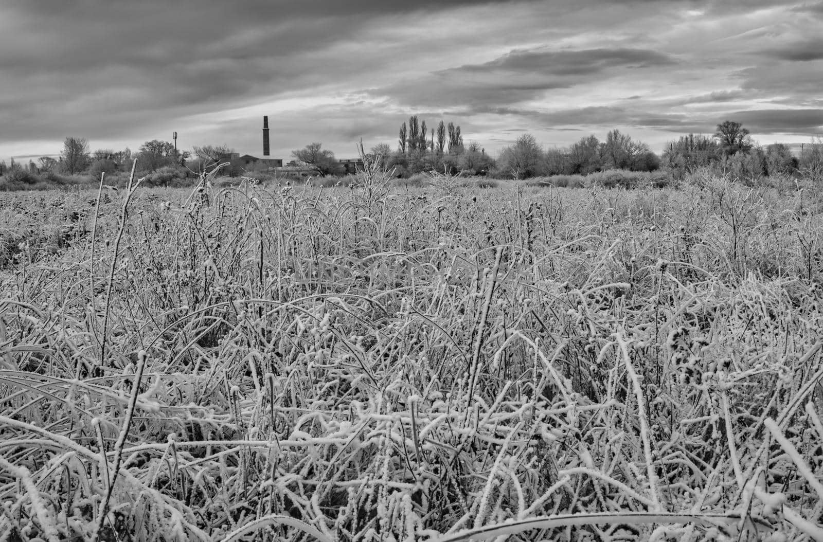 Farm field just before sunrise