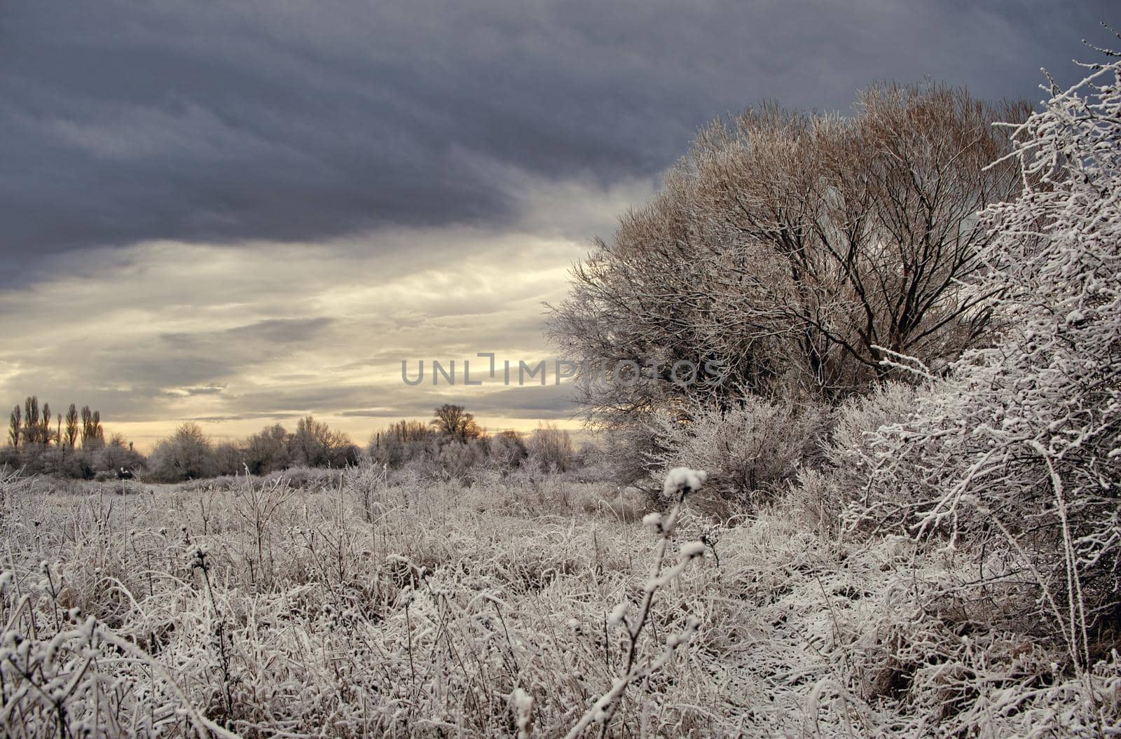 Atmospheric winter landscape with clouds