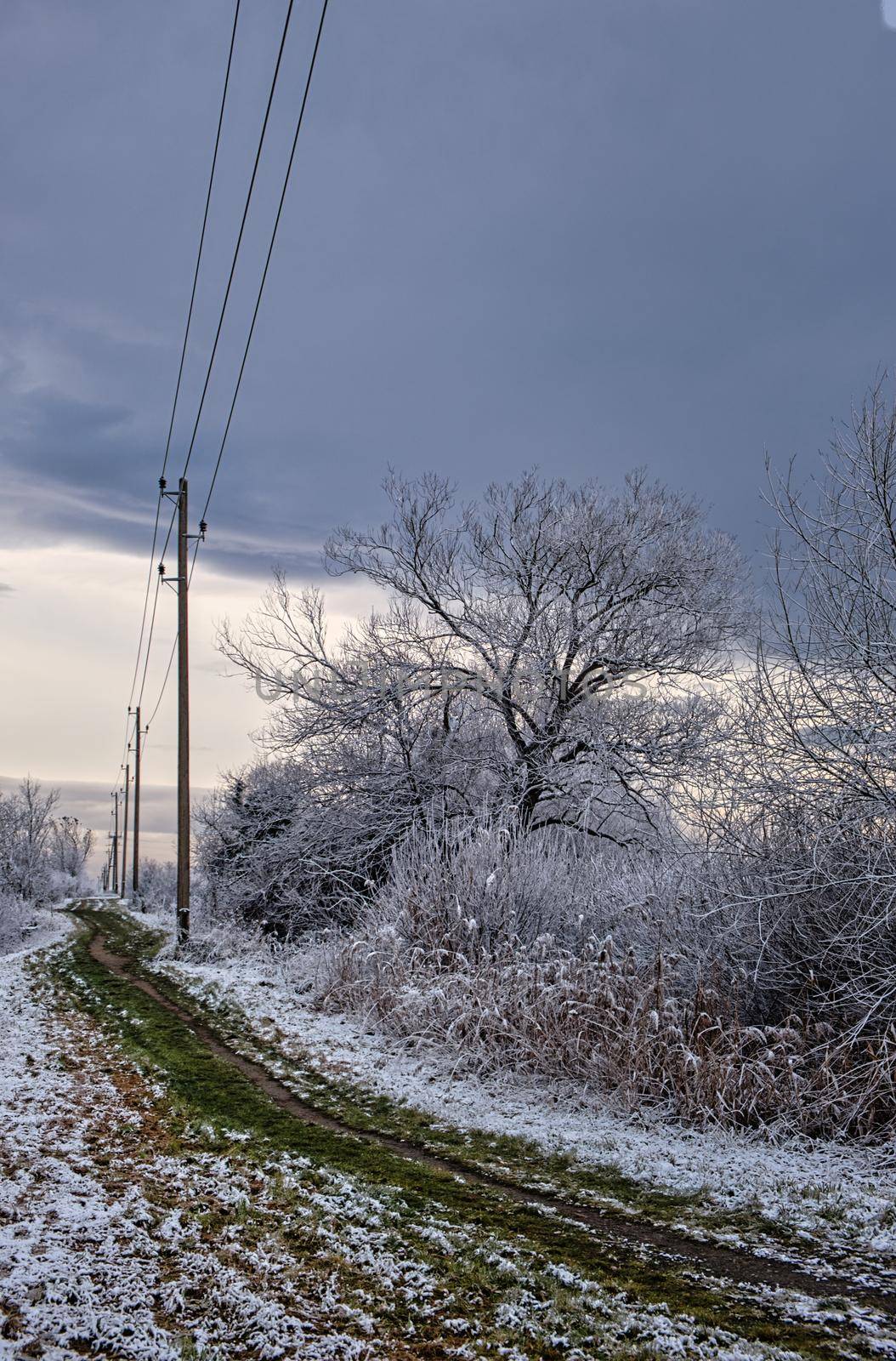 Small path on a cold winter day