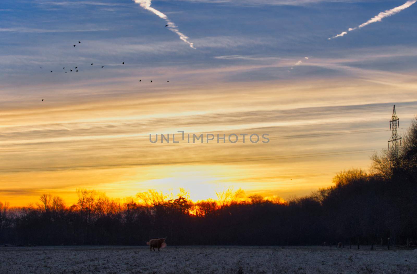 Sunrise on a cold winter day at a ranch