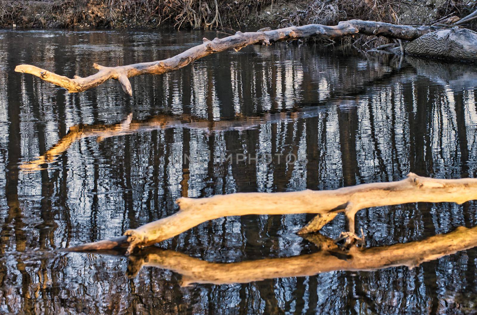 Frosty river with sunrise cold day