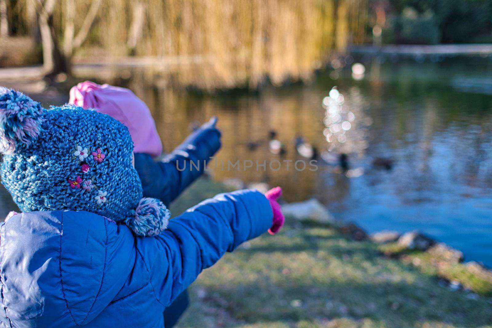 Kids pointing at pond with ducks