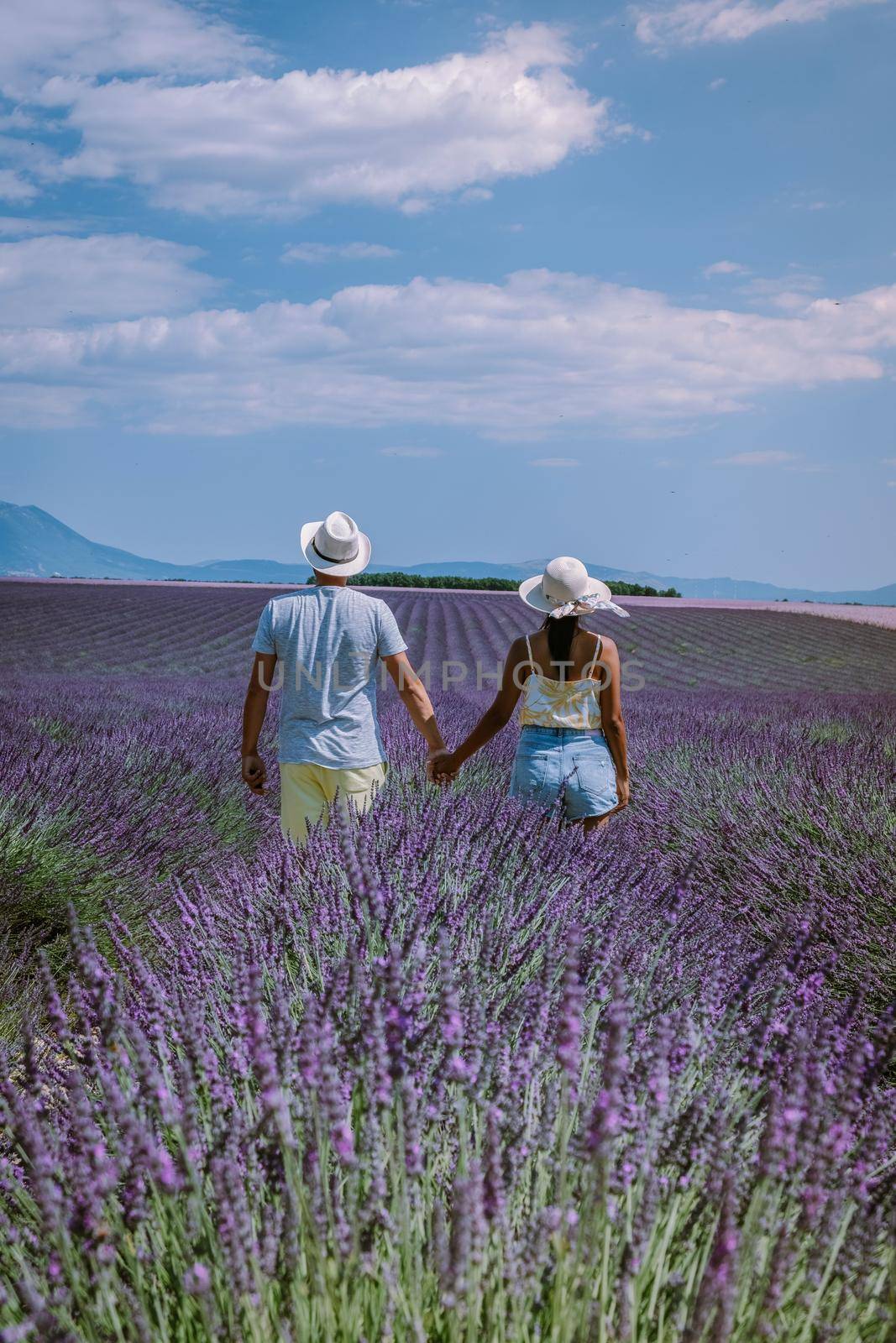 Provence, Lavender field France, Valensole Plateau, colorful field of Lavender Valensole Plateau, Provence, Southern France. Lavender field. Europe. Couple men and woman on vacation at the provence lavender fields,