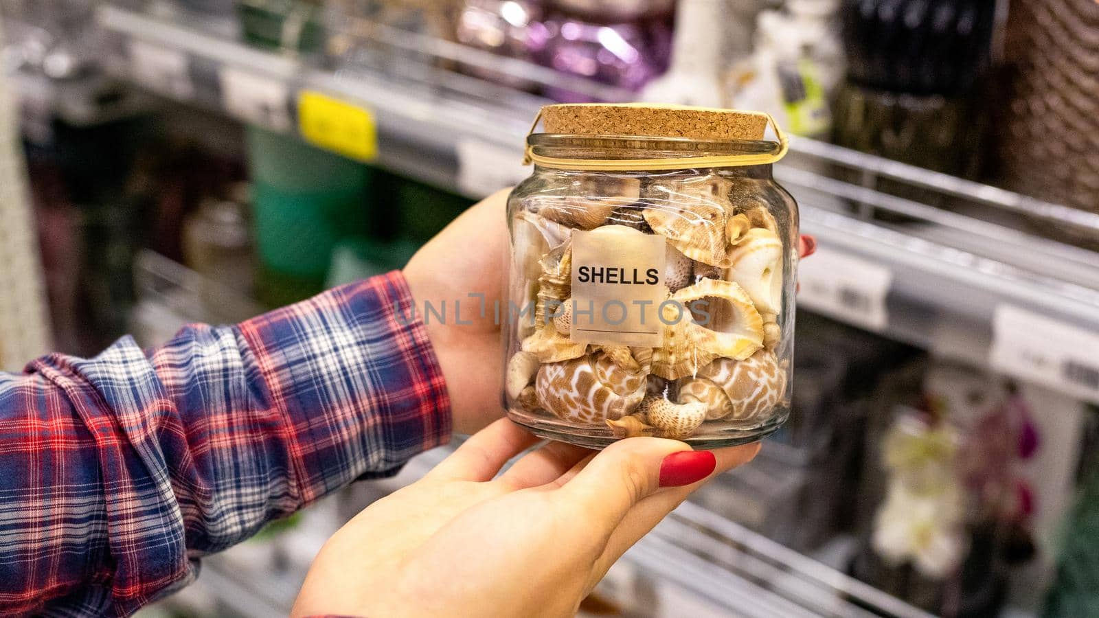 Decorative shells in the glass close up