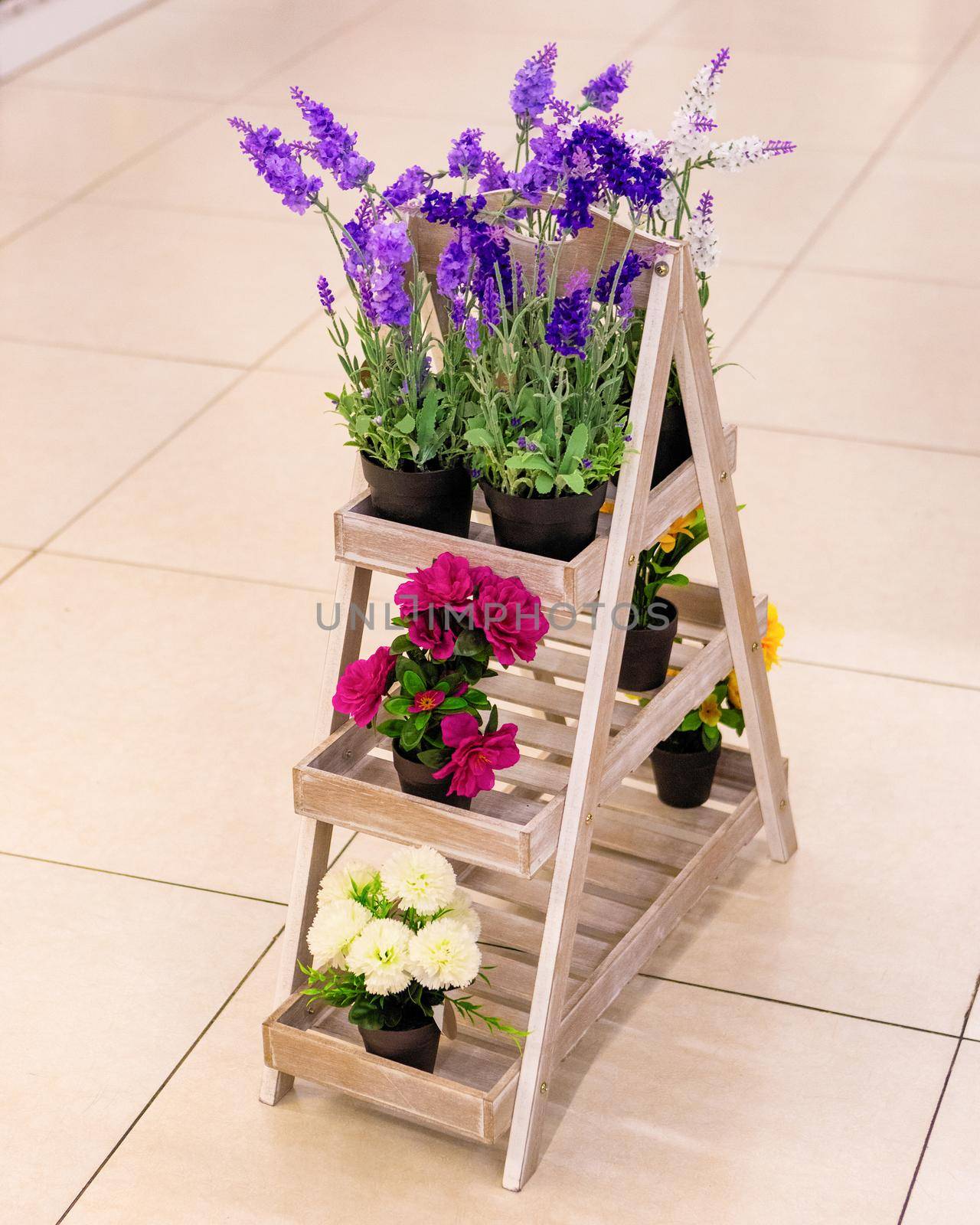 Artificial flower plants on the showcase