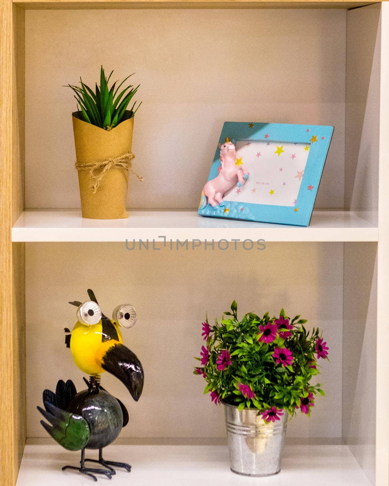 Plant flower photo frame Toucans decoration isolated by ferhad