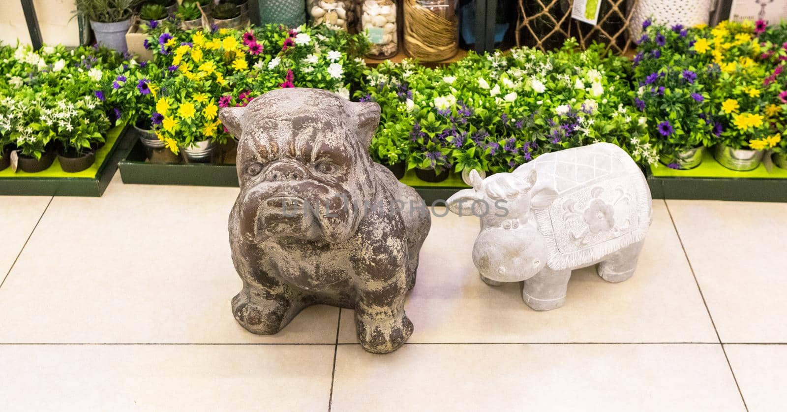 Bulldog statue decor close up isolated by ferhad