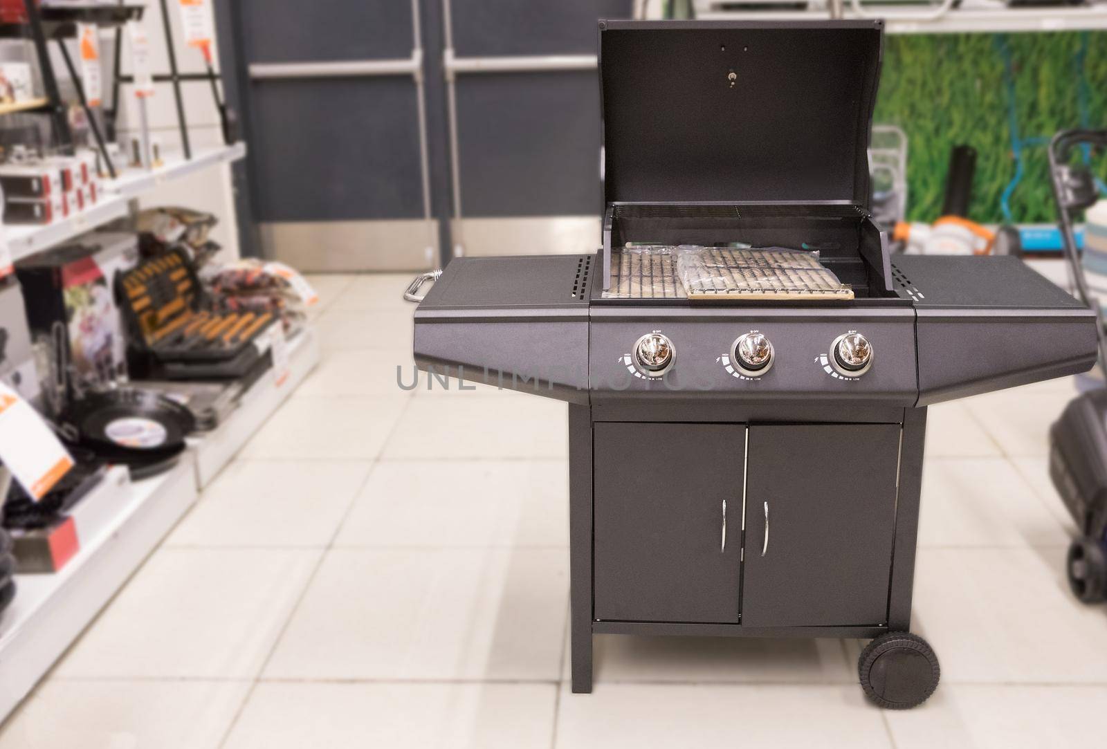 Electric Barbecue Grill Tandoori Maker at the store