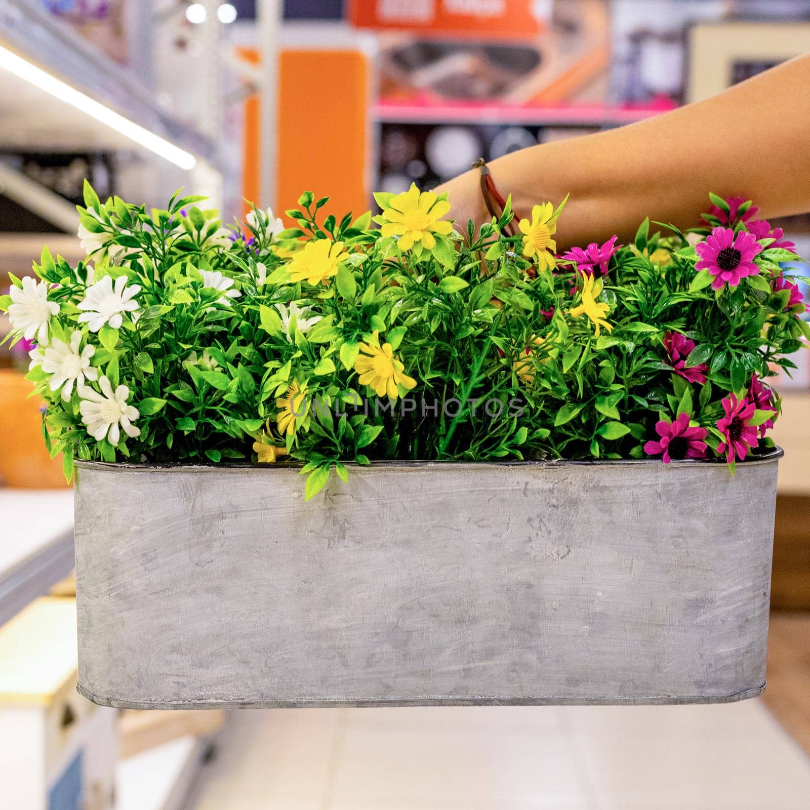 Holding artificial flower plant in the pot