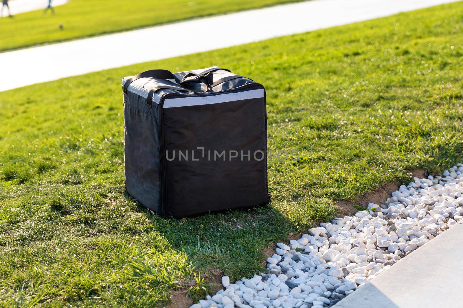 Backpack, courier bag on the green grass