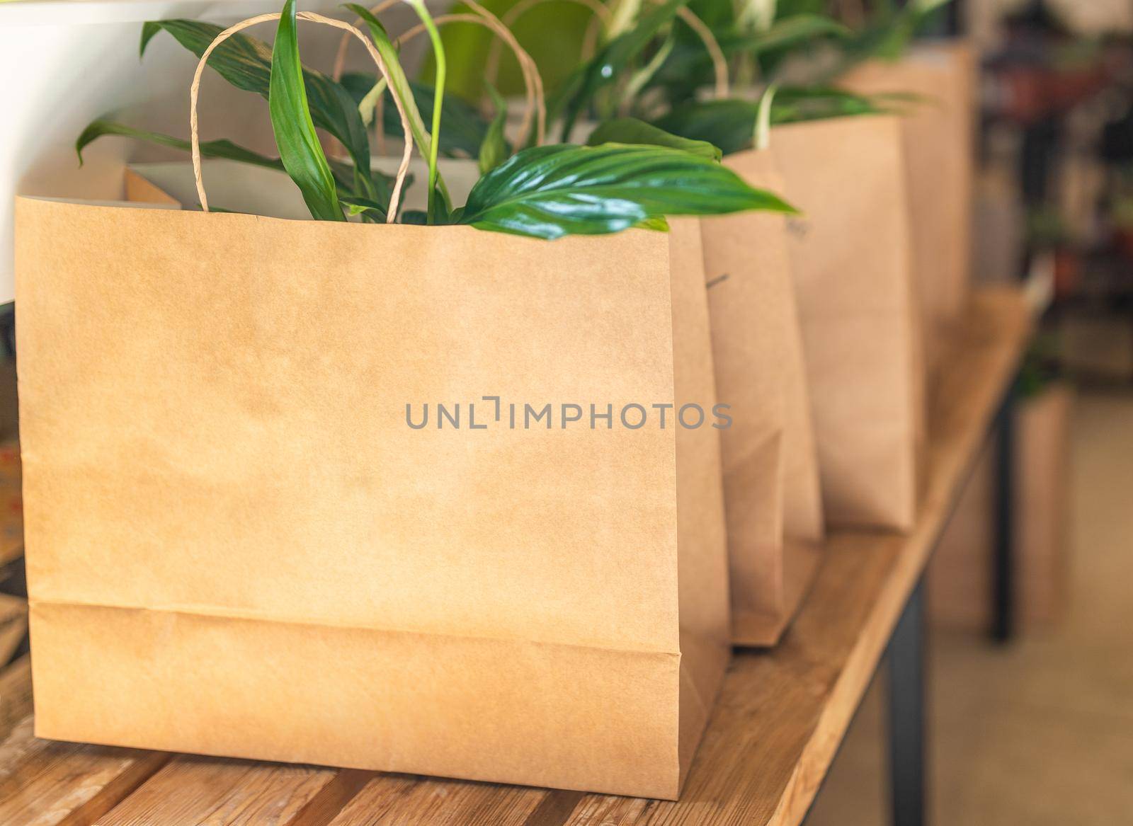 Peace lily plants in the shopping bag