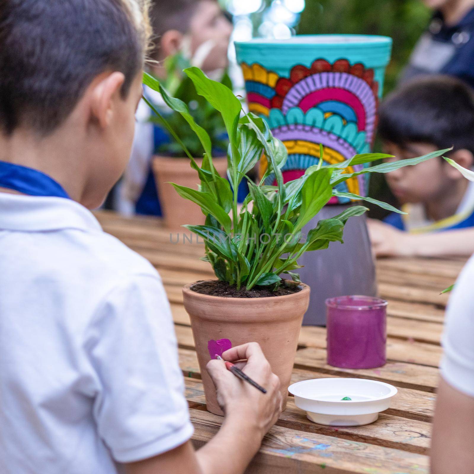 Children are painting potted plants made of pottery close up by ferhad