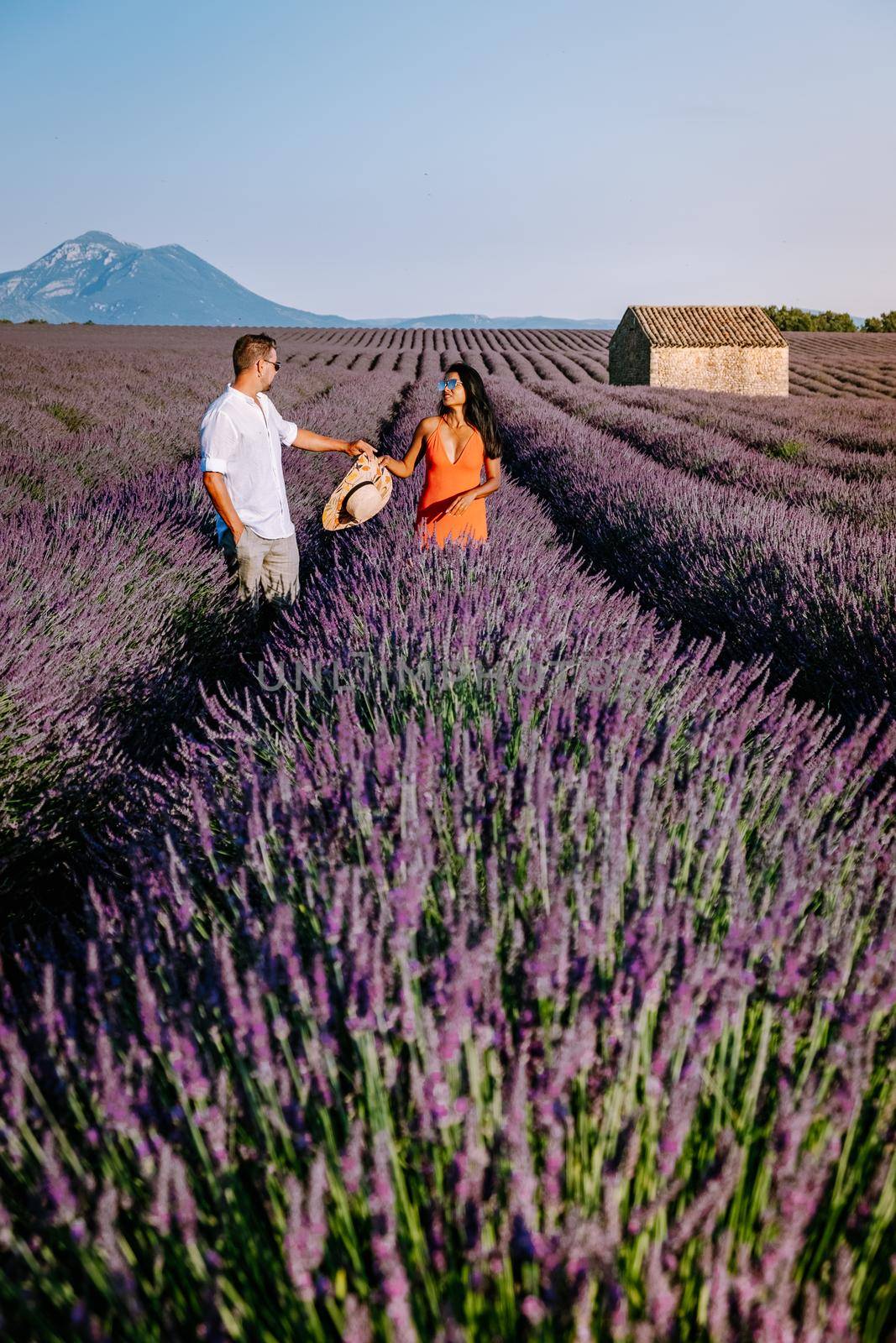 Couple men and woman on vacation at the provence lavender fields, Provence, Lavender field France, Valensole Plateau, colorful field of Lavender Valensole Plateau, Provence, Southern France. Lavender field by fokkebok